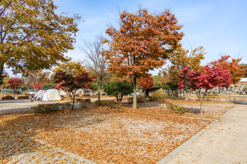 화성시 향남 오토캠핑장