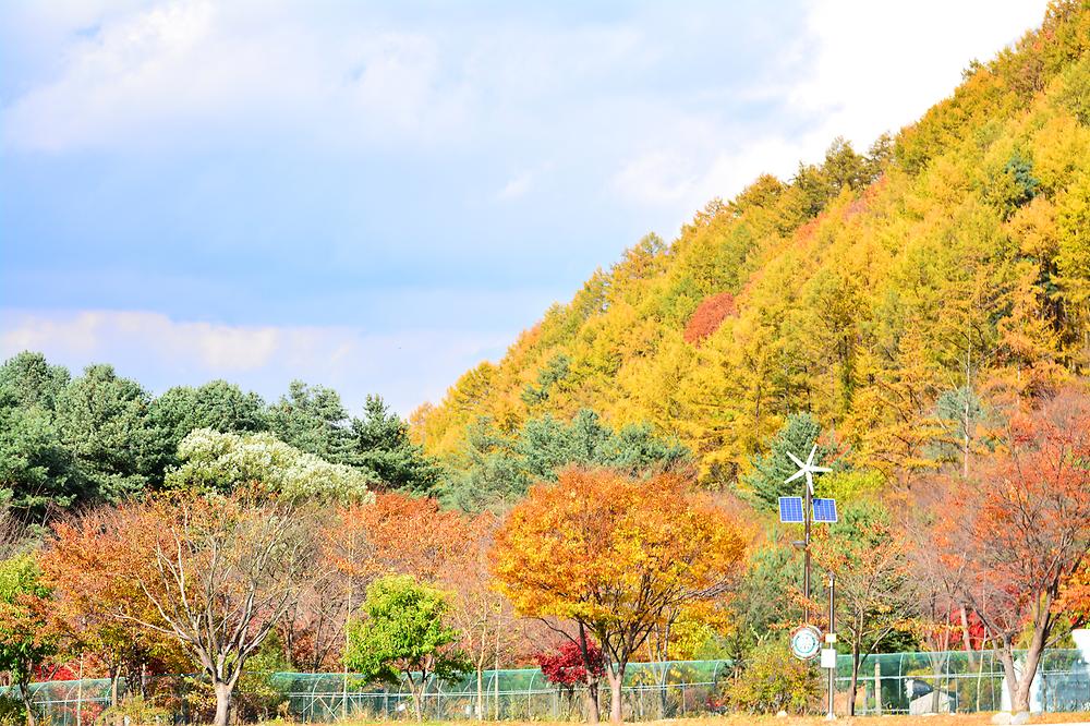 국립유명산자연휴양림(일반)