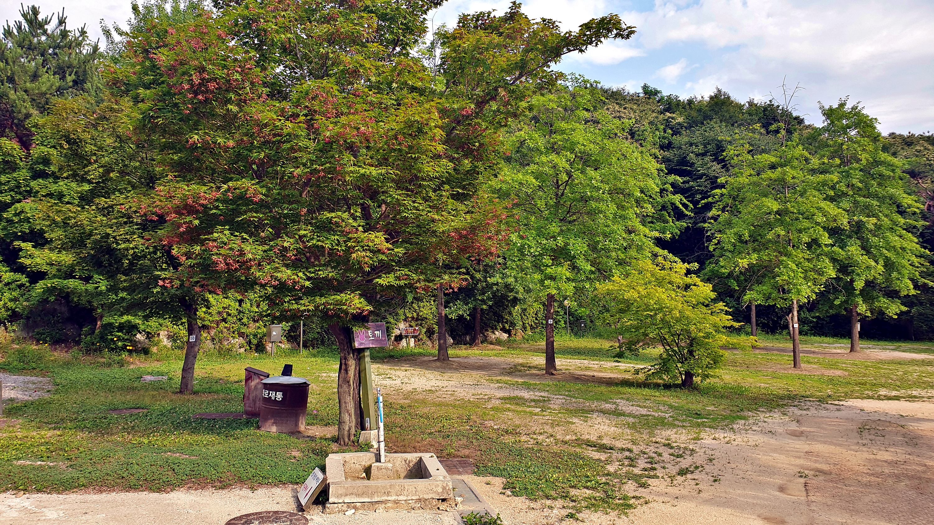 단풍숲캠핑장 28번째 이미지