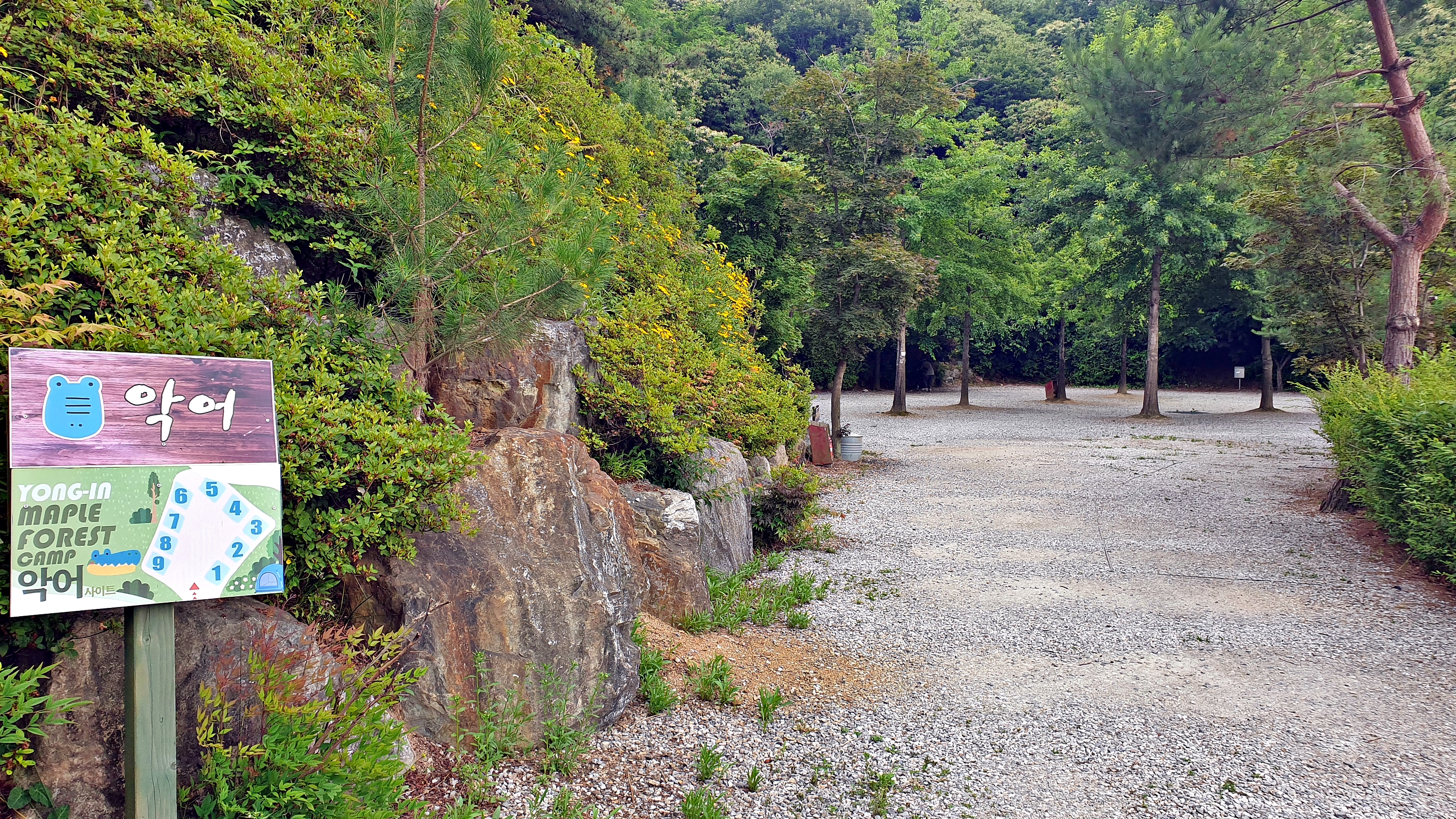 단풍숲캠핑장 11번째 이미지
