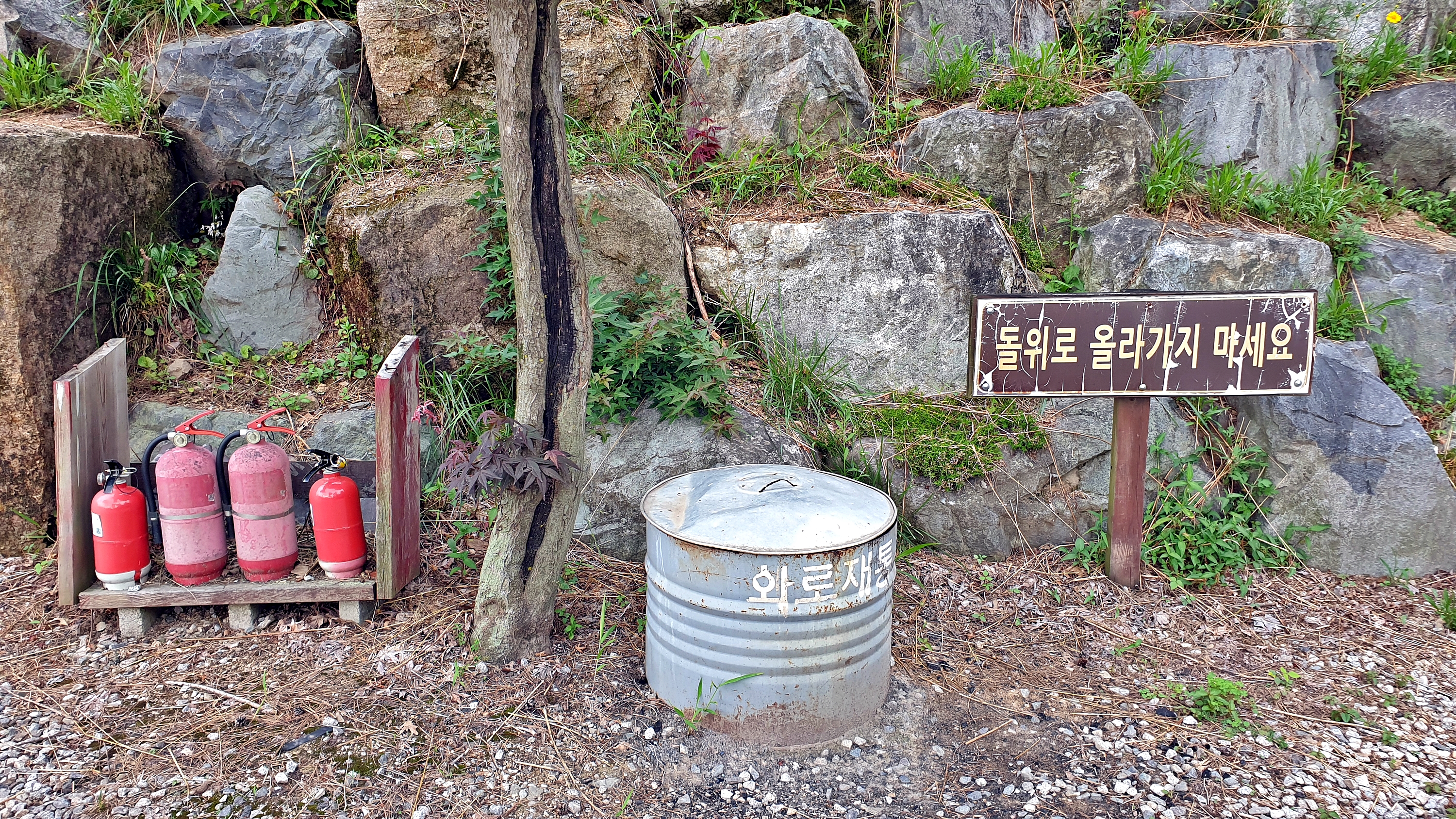 단풍숲캠핑장 13번째 이미지