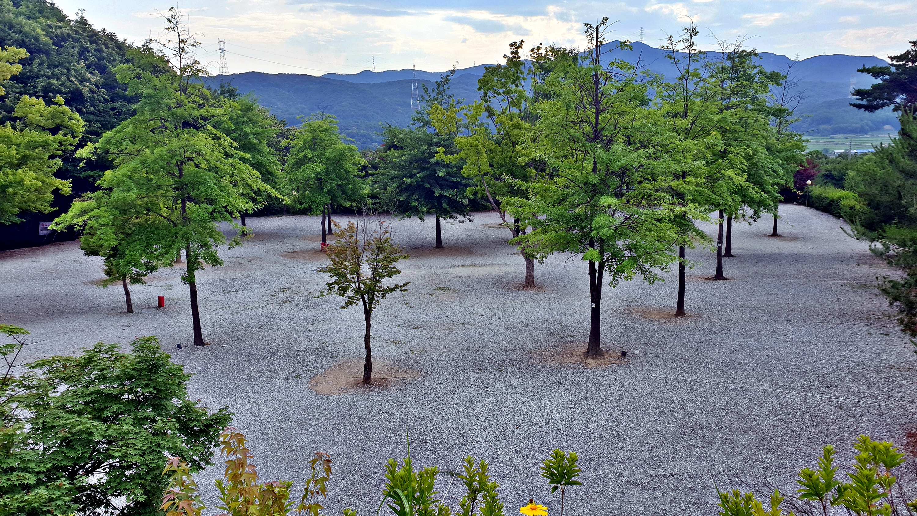 단풍숲캠핑장 12번째 이미지