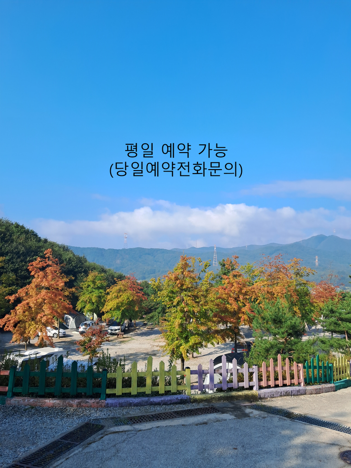 단풍숲캠핑장 - 경기 용인시 처인구 원삼면 보개원삼로1462번길 14-23 캠핑장 이미지