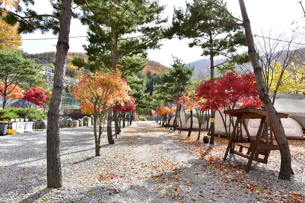 리즈밸리 글램핑캠핑장