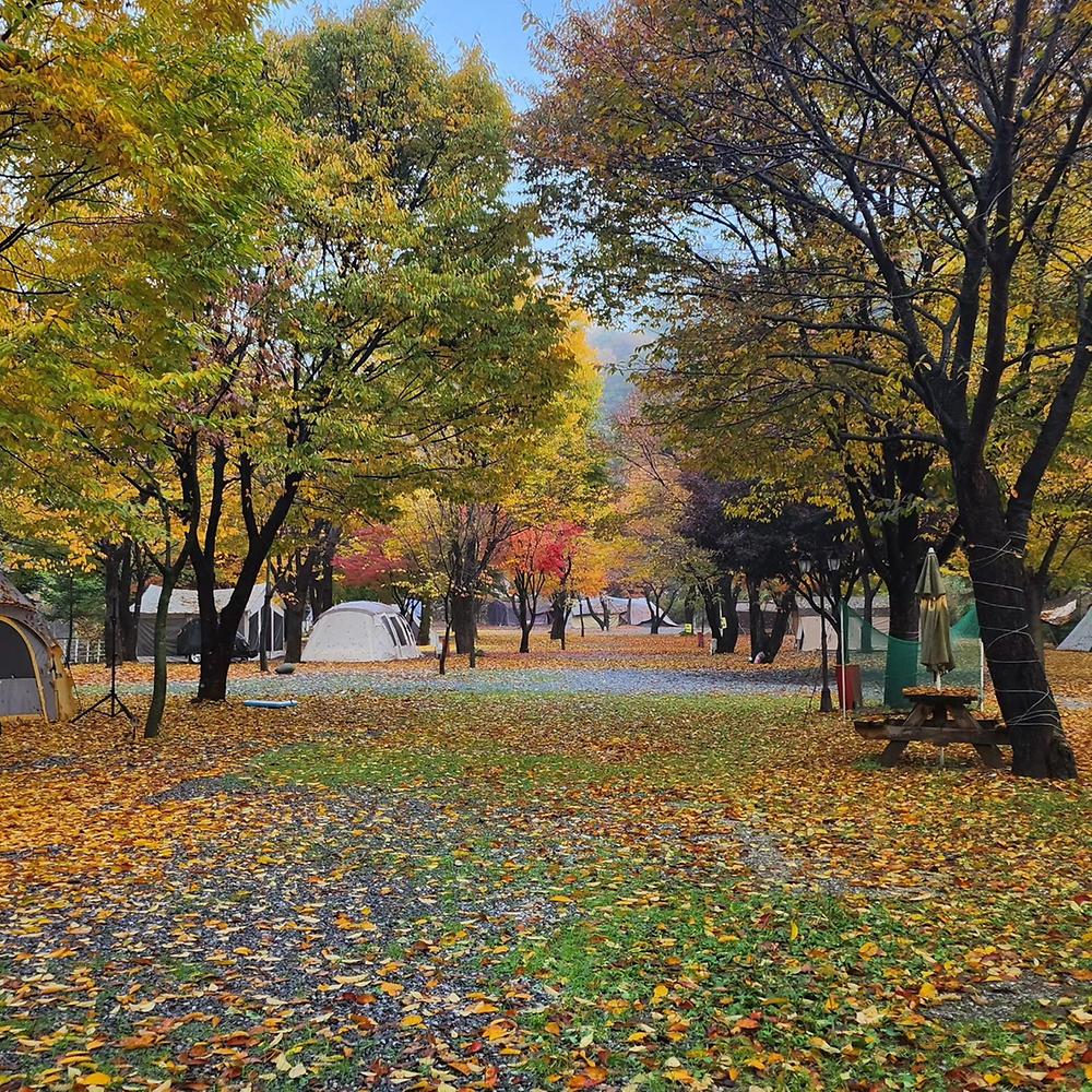 별빛오토캠핑장