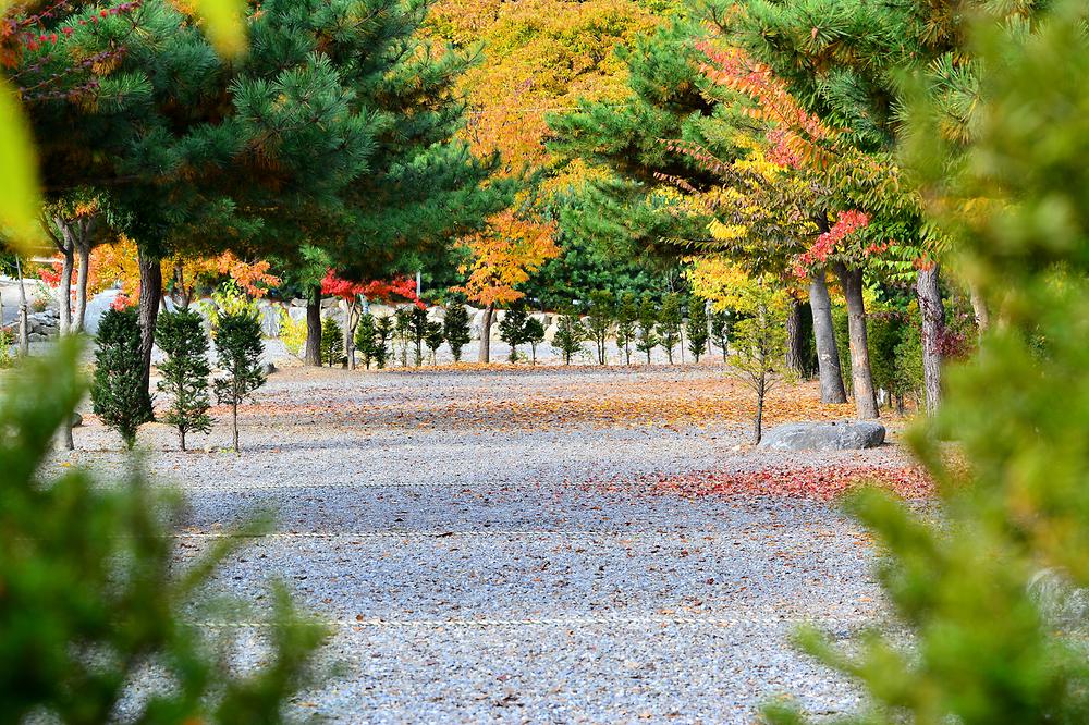 솔바람캠핑장