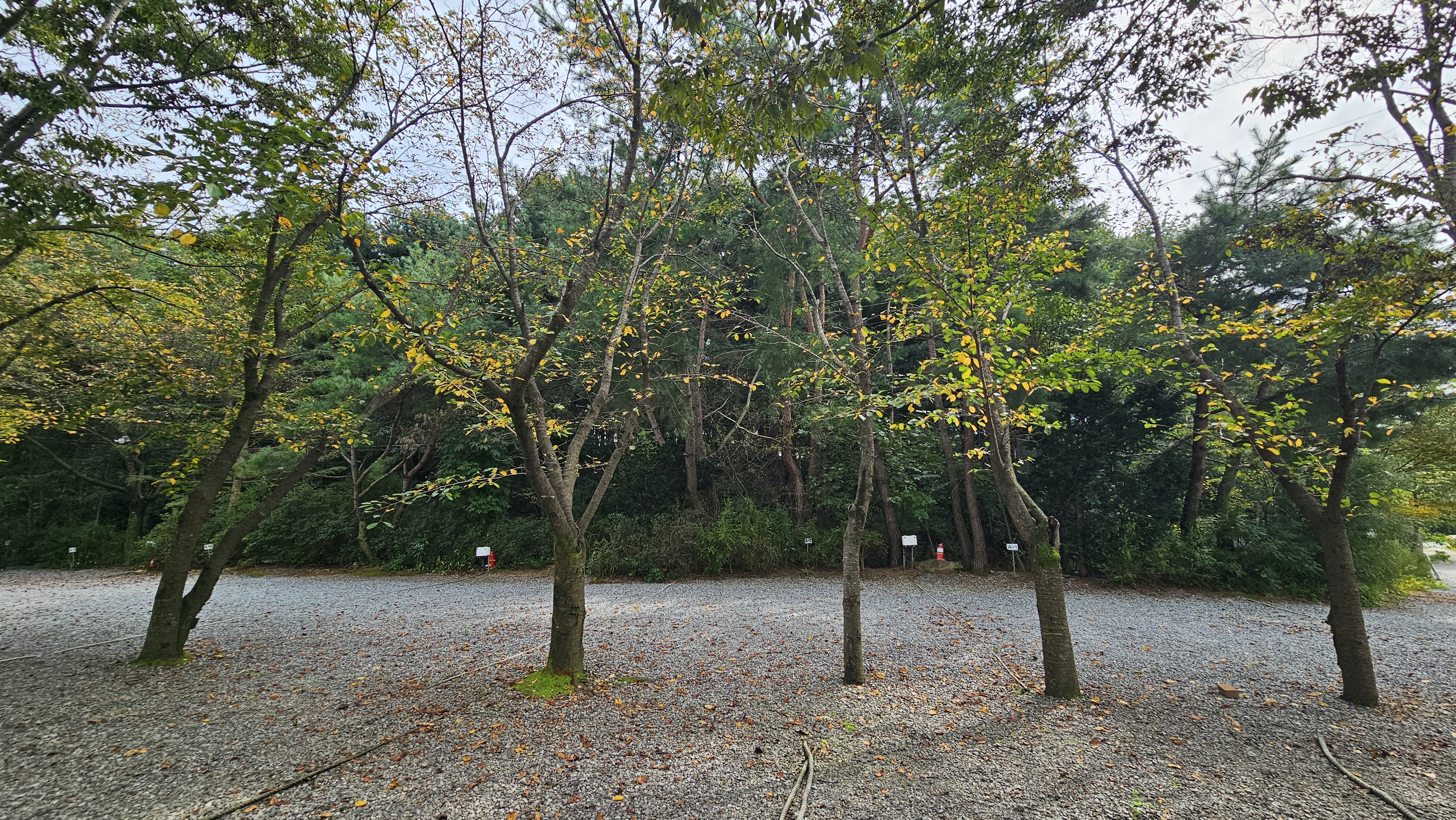 숲속에안뜰 캠핑장 7번째 이미지