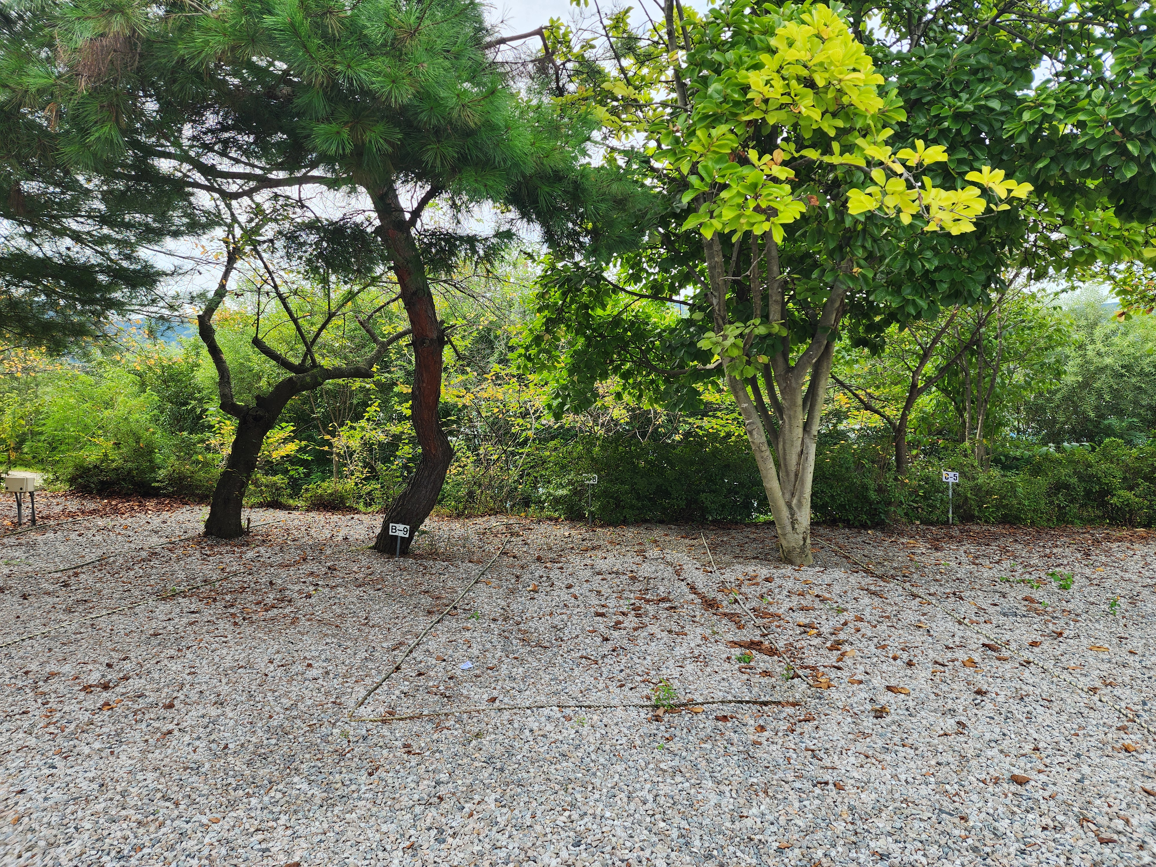 숲속에안뜰 캠핑장 24번째 이미지