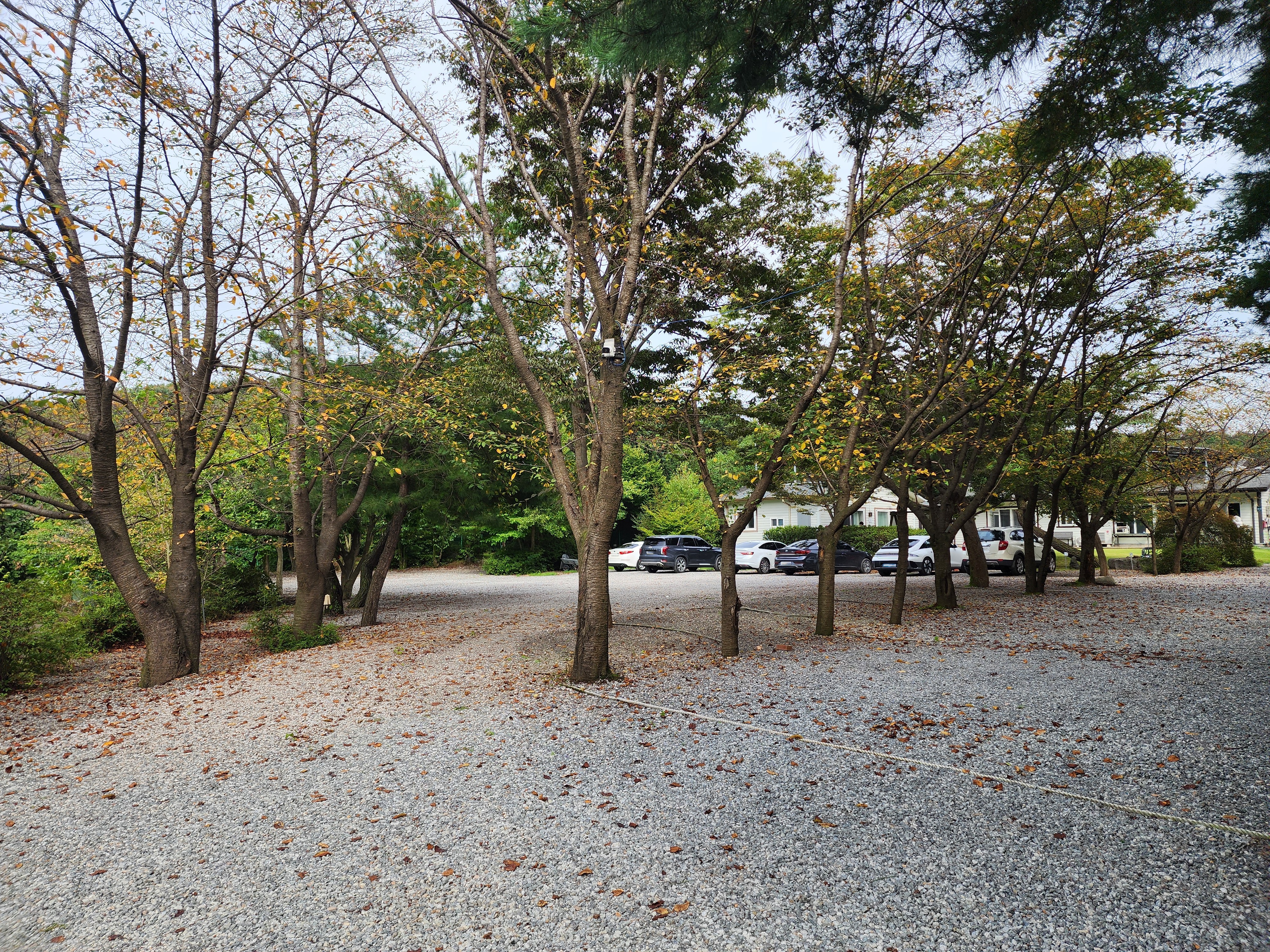 숲속에안뜰 캠핑장 19번째 이미지