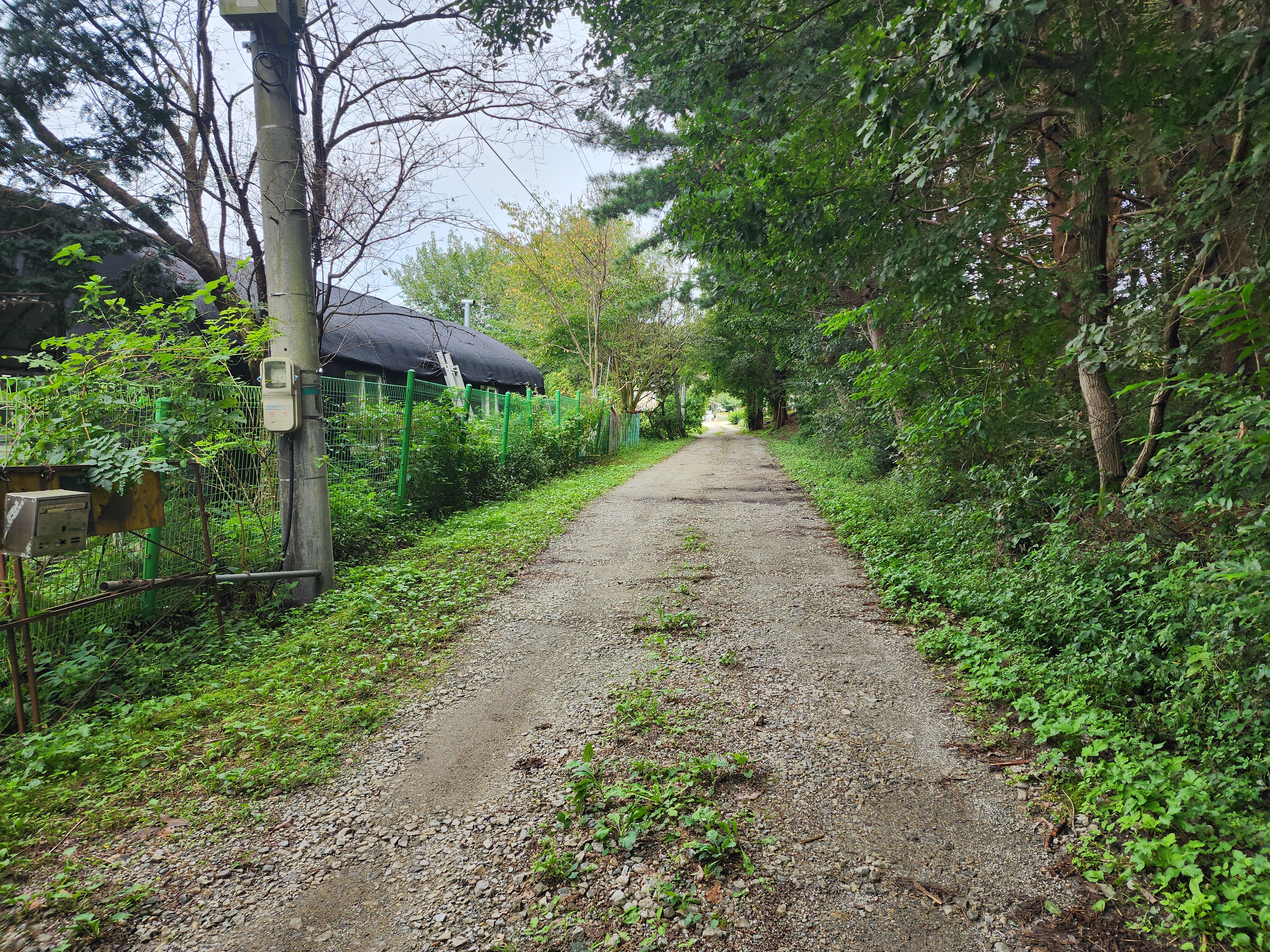 숲속에안뜰 캠핑장 17번째 이미지