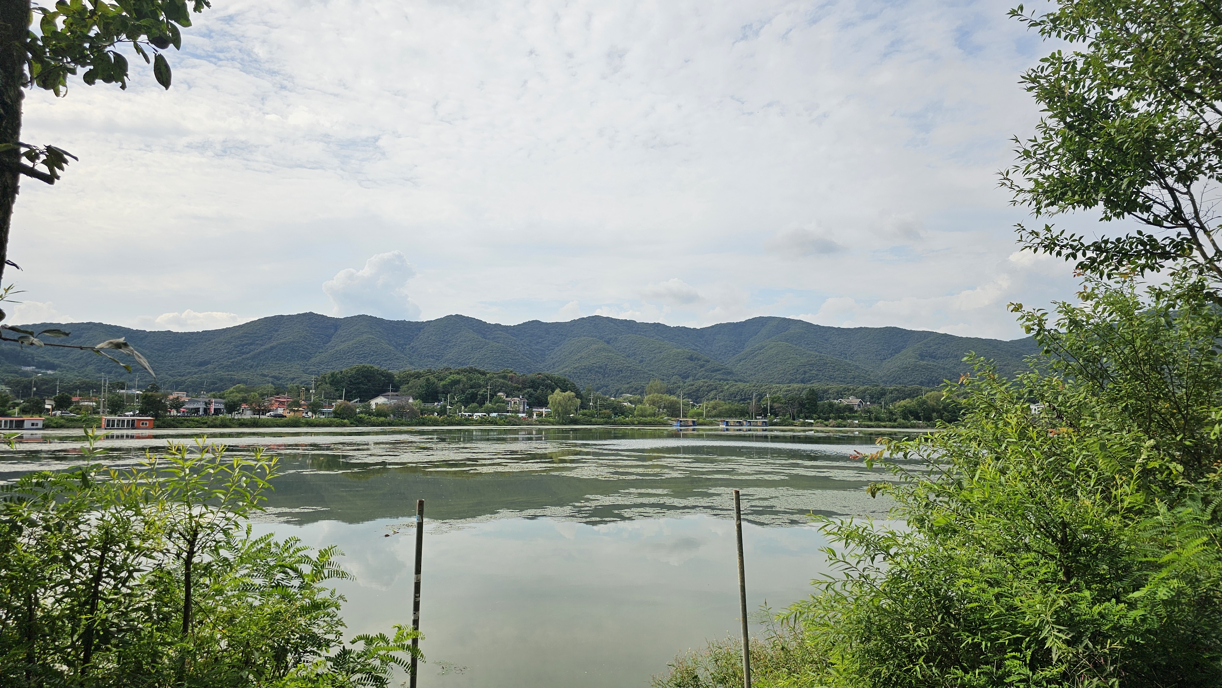 숲속에안뜰 캠핑장 3번째 이미지