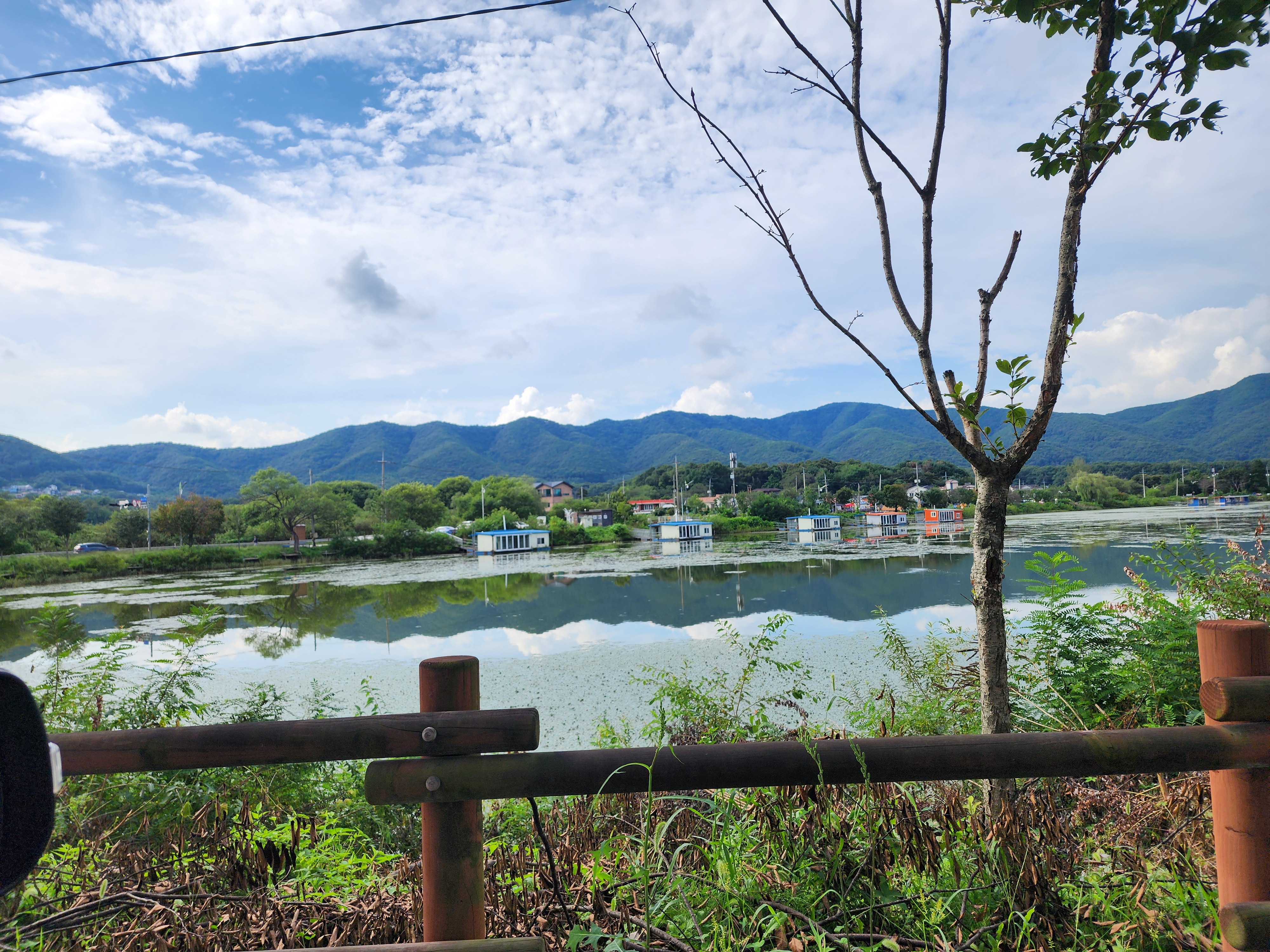 숲속에안뜰 캠핑장 14번째 이미지