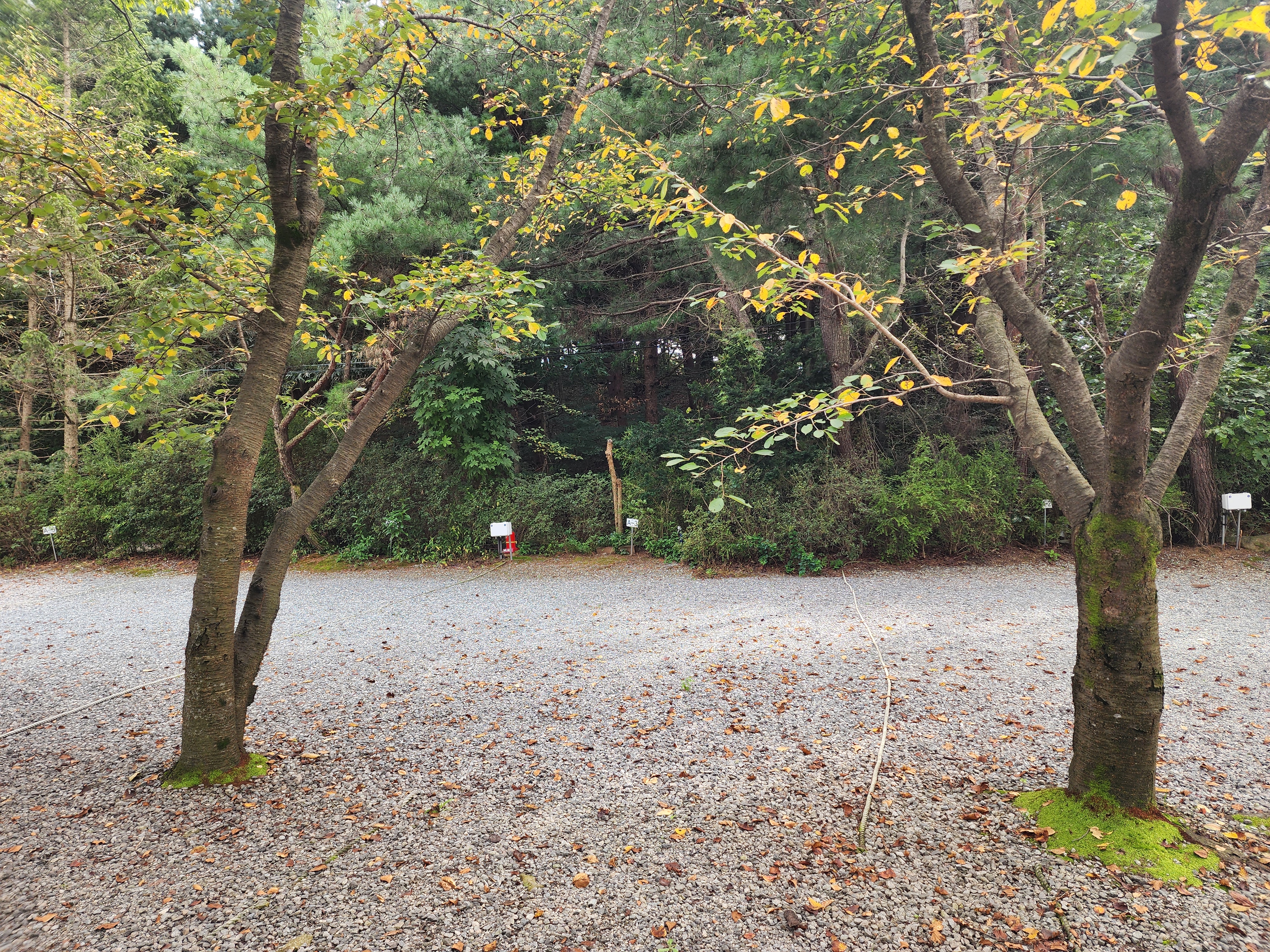 숲속에안뜰 캠핑장 21번째 이미지