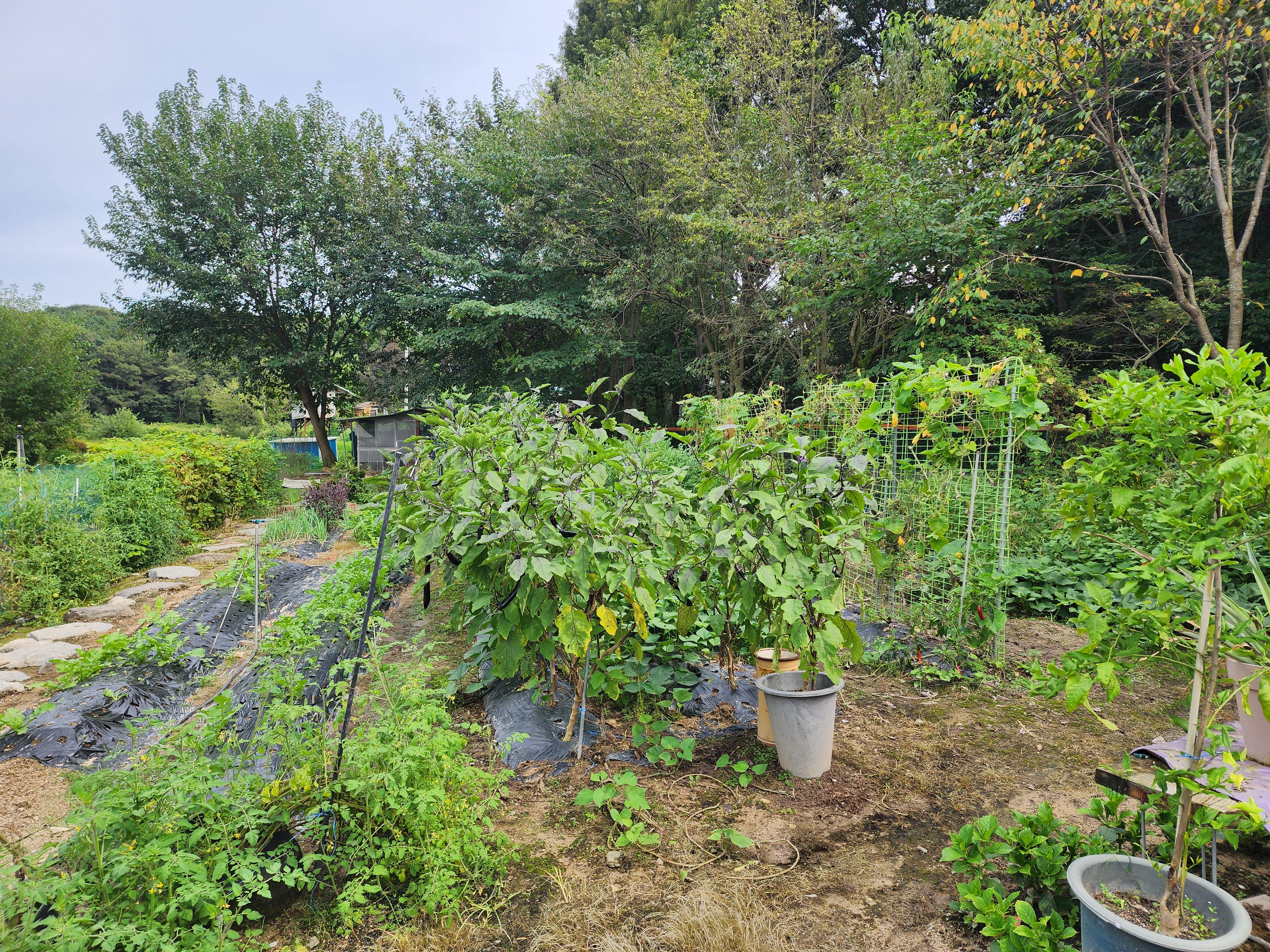 숲속에안뜰 캠핑장 16번째 이미지