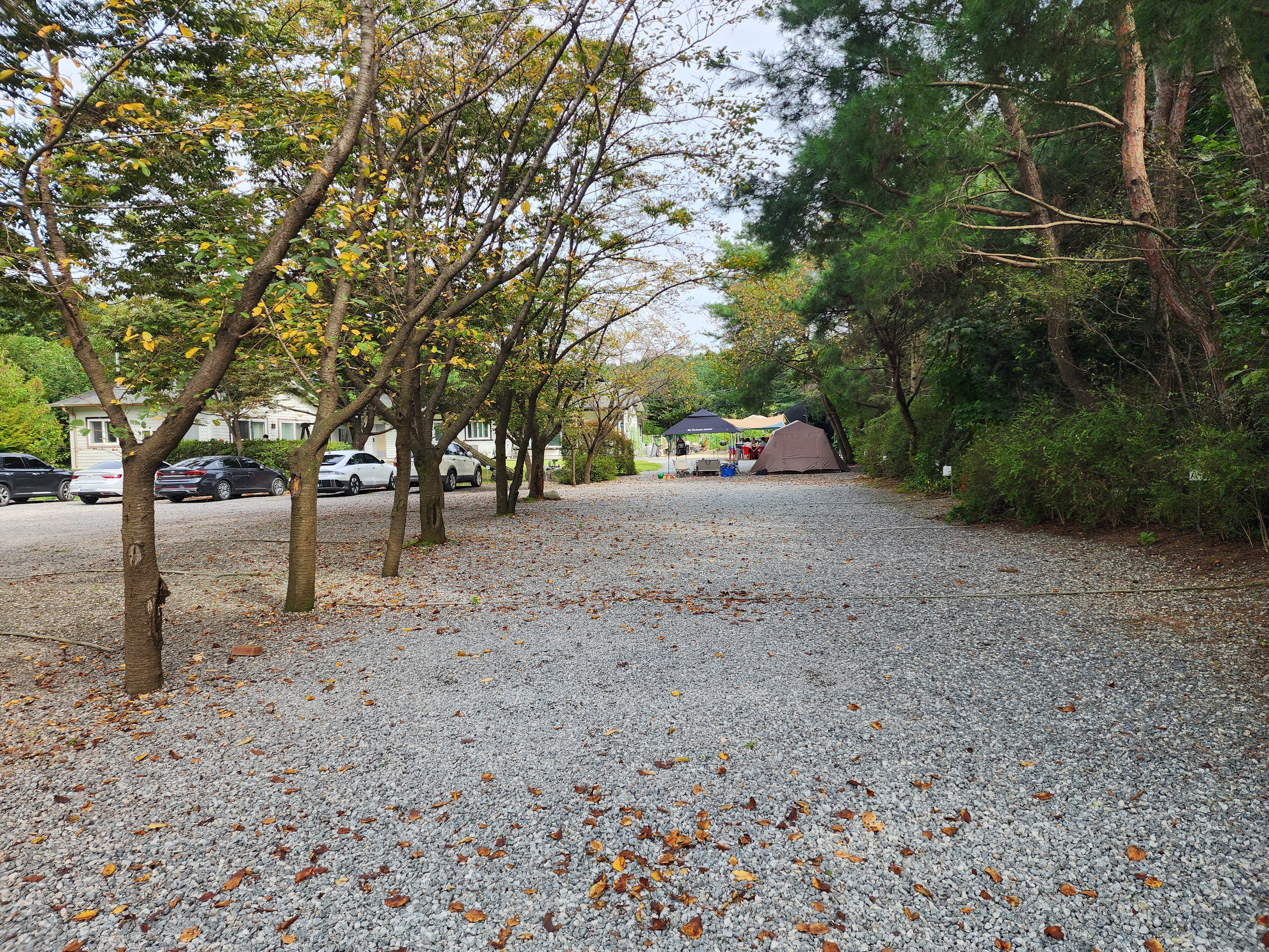 숲속에안뜰 캠핑장 20번째 이미지