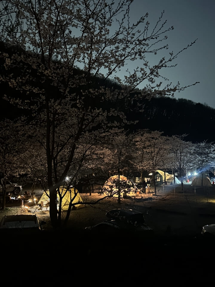 싱글벙글캠핑장 33번째 이미지