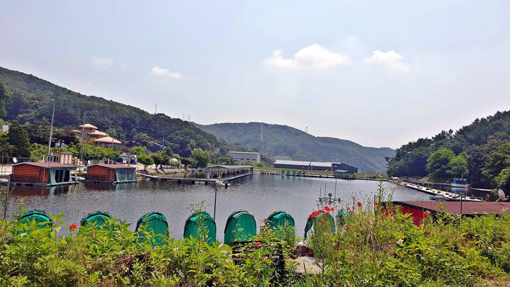 싱글벙글캠핑장 - 경기 용인시 처인구 이동읍 상덕로 95-62 캠핑장 이미지