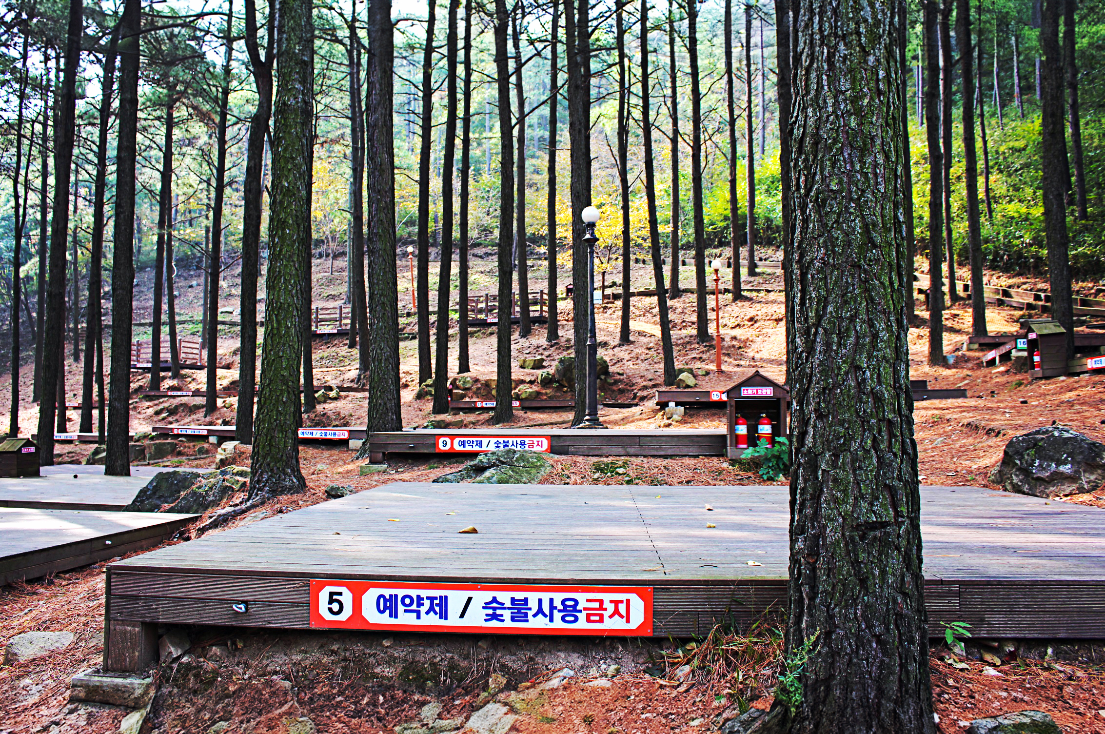제암산자연휴양림 야영장 이미지