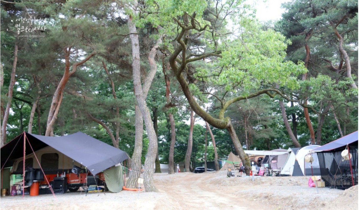 후평숲캠핑장 이미지