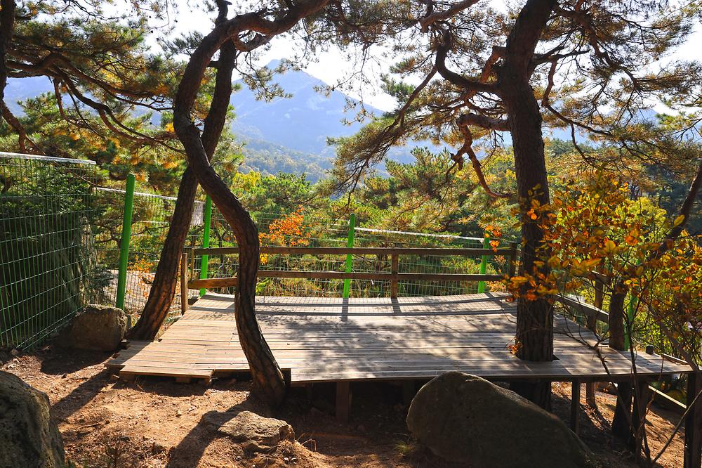 북한산농바위캠핑장
