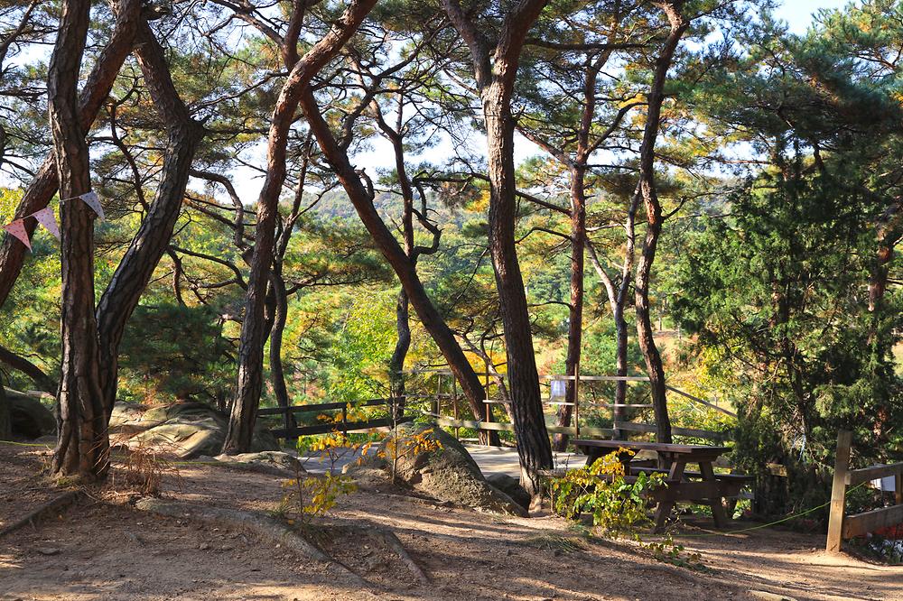 북한산농바위캠핑장