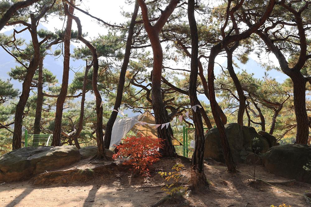 북한산농바위캠핑장
