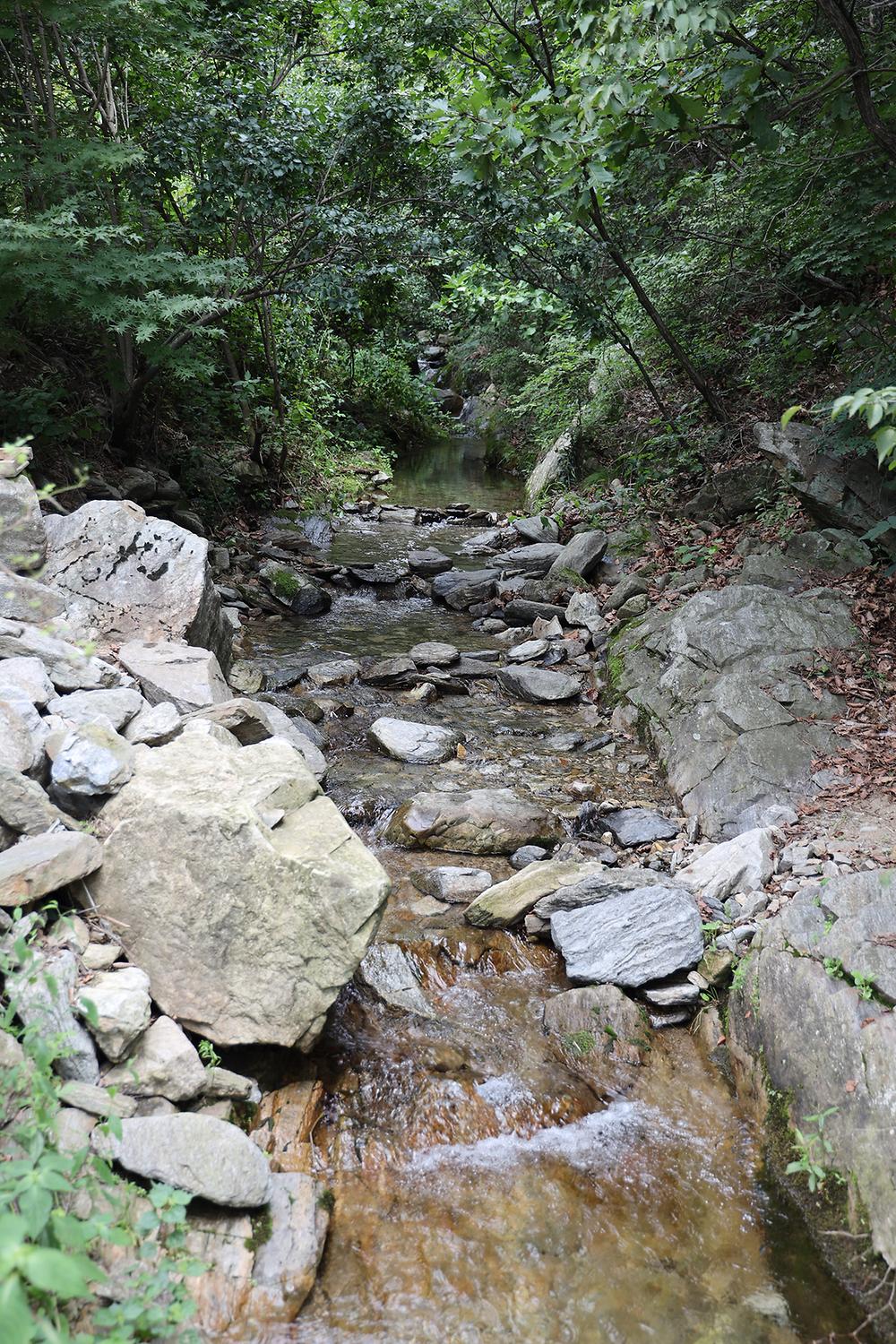 춘천하늘캠핑장