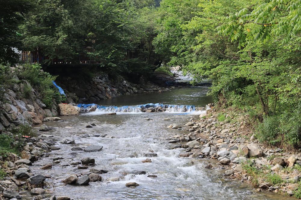 검산별빛캠핑장