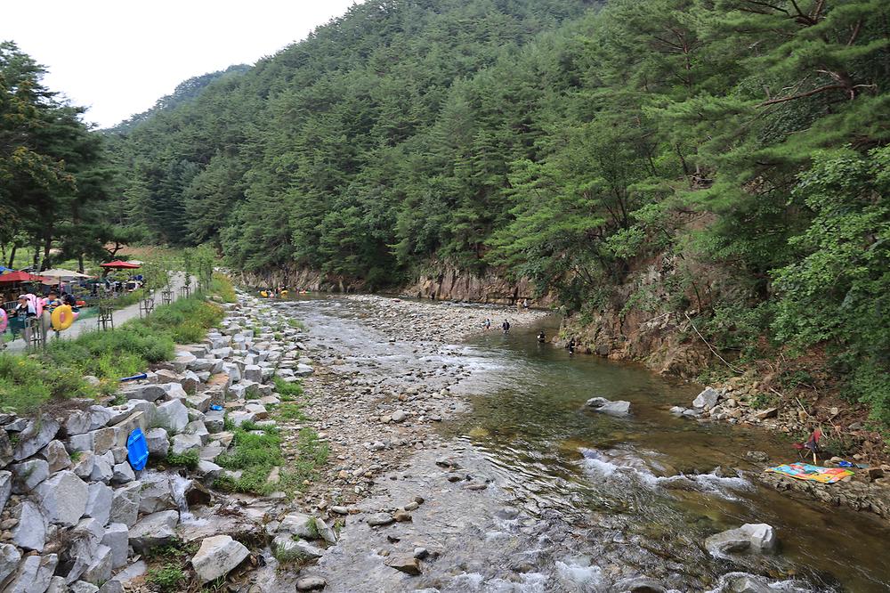 용오름캠핑장