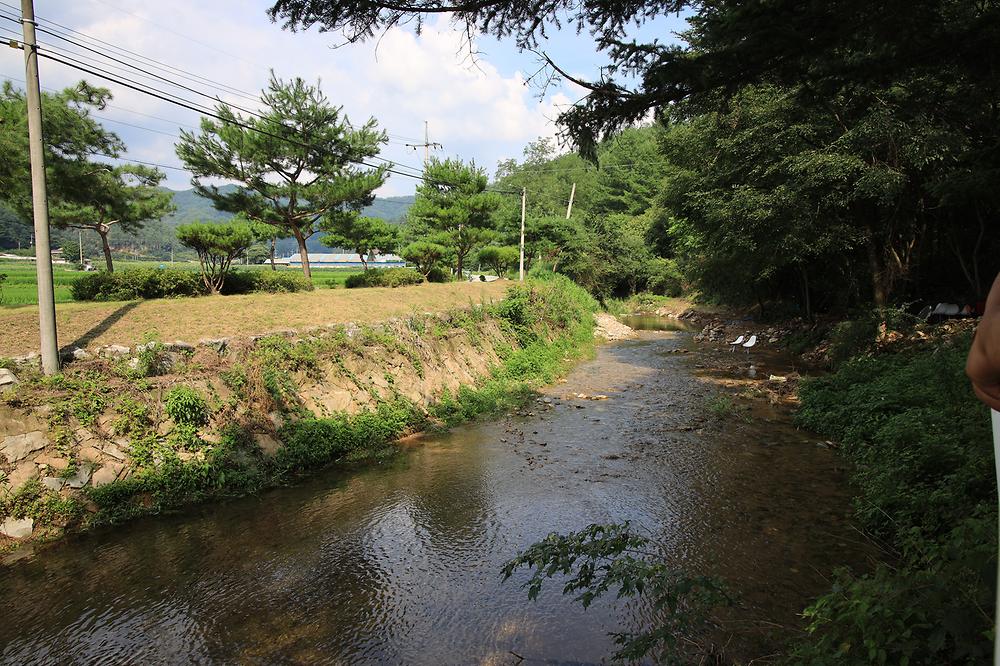 횡성 노다지야영장 불타는 삼촌