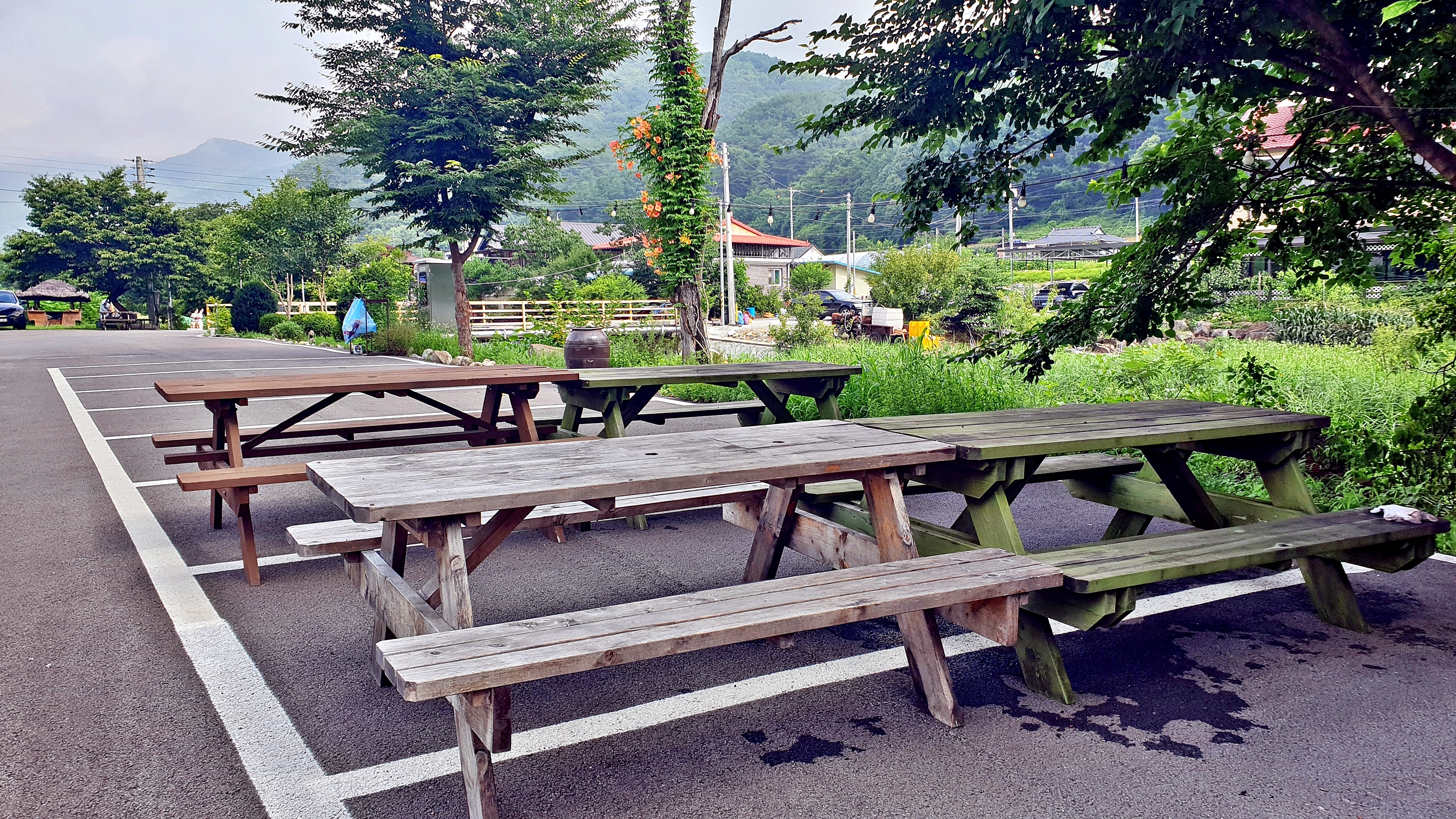 배론의아침 6번째 이미지