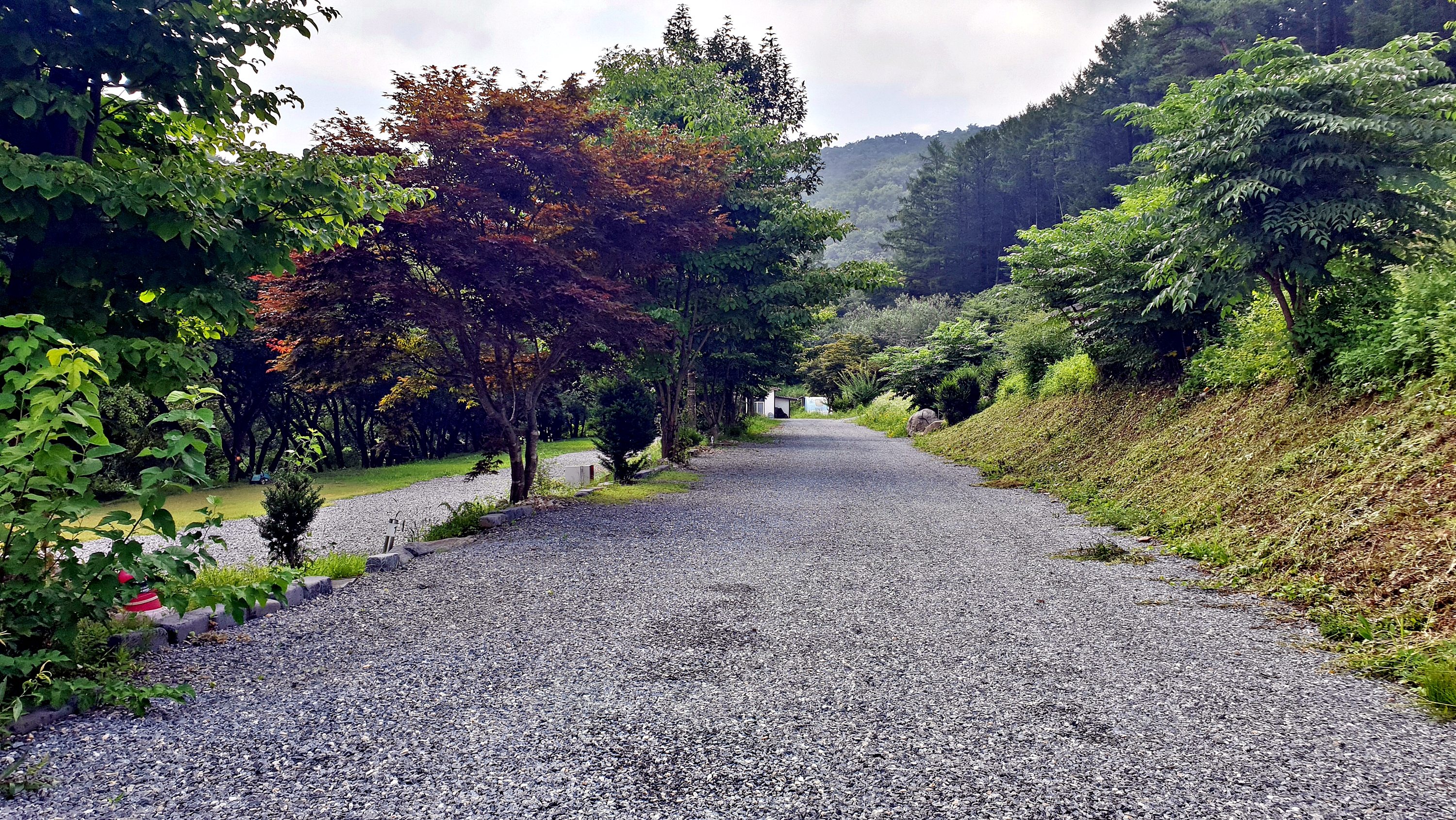 배론의아침 9번째 이미지