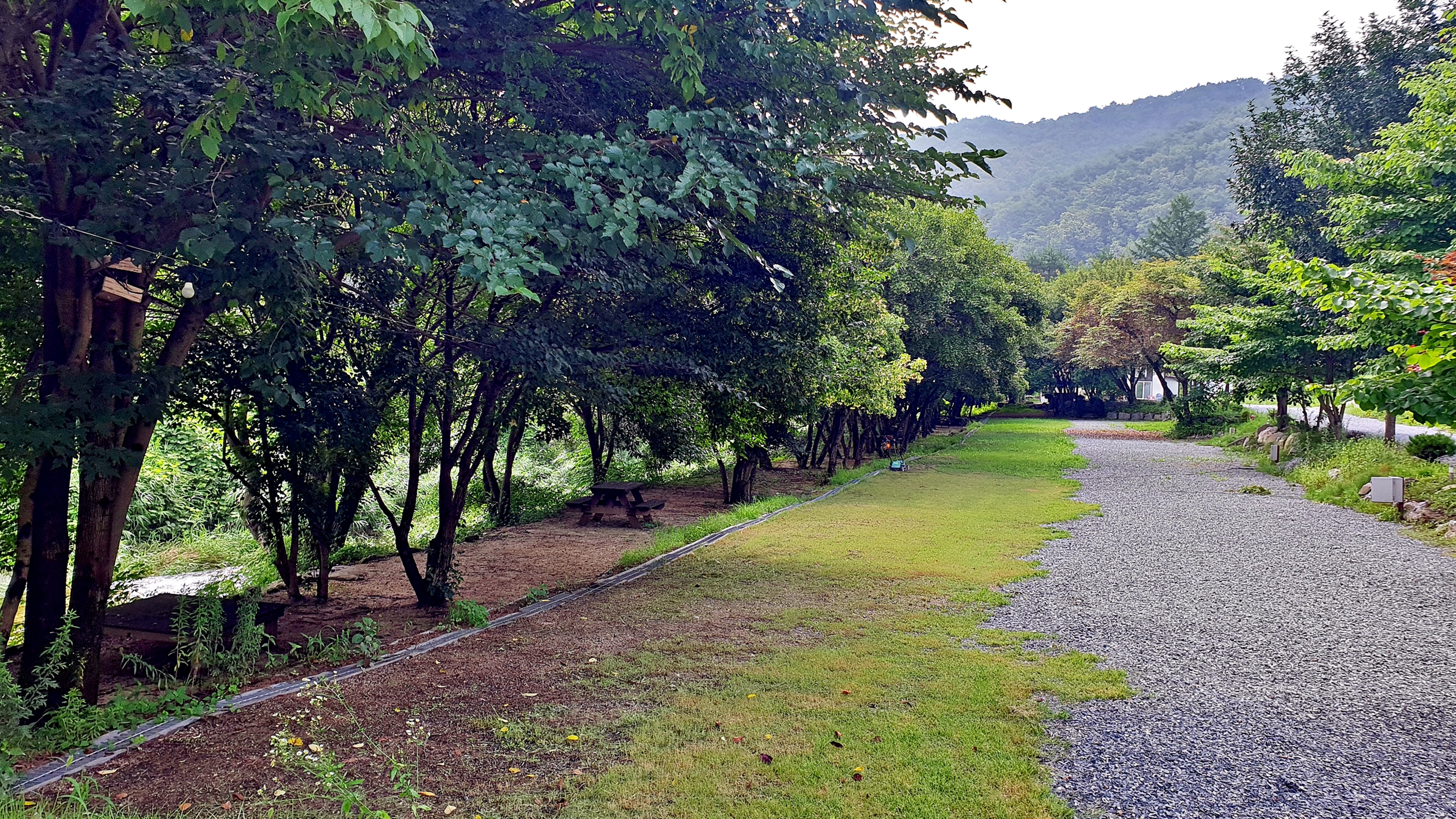 배론의아침 38번째 이미지