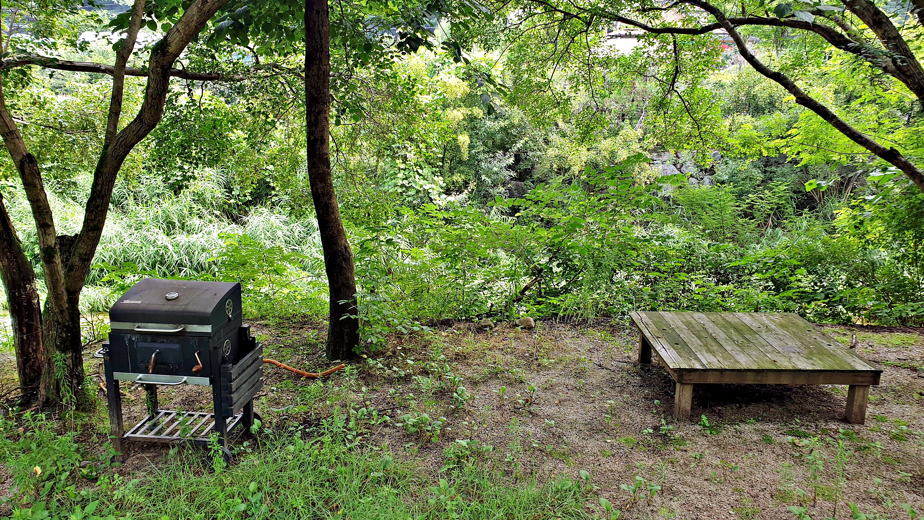 배론의아침 14번째 이미지