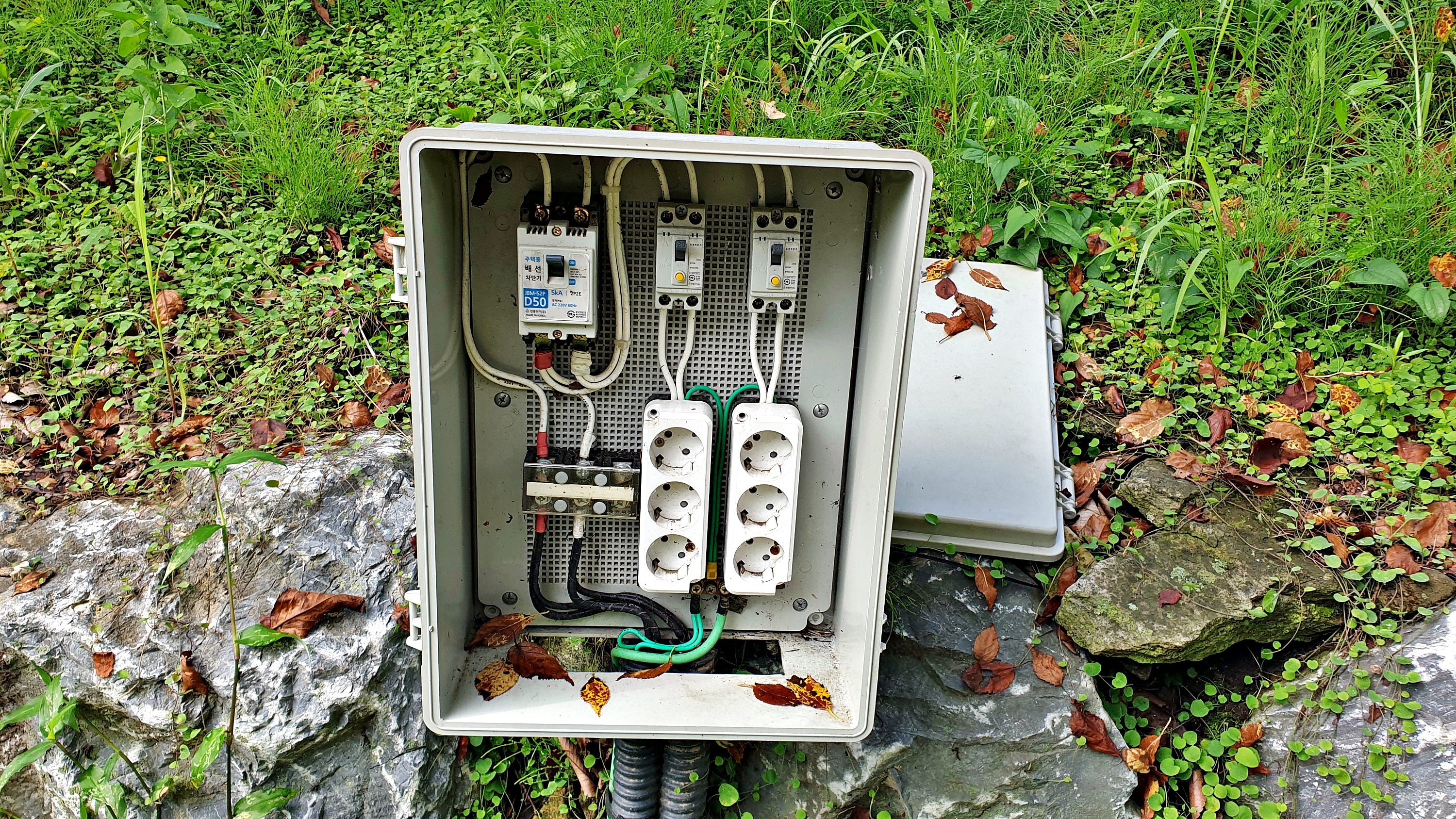 배론의아침 15번째 이미지