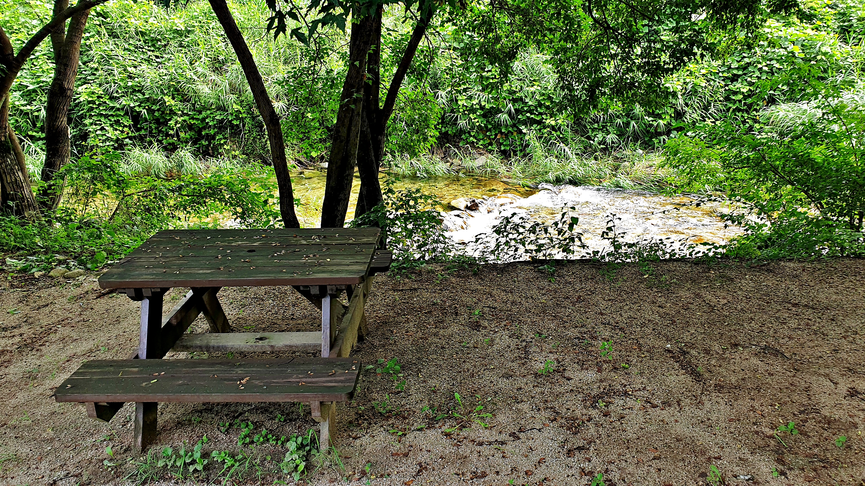 배론의아침 11번째 이미지