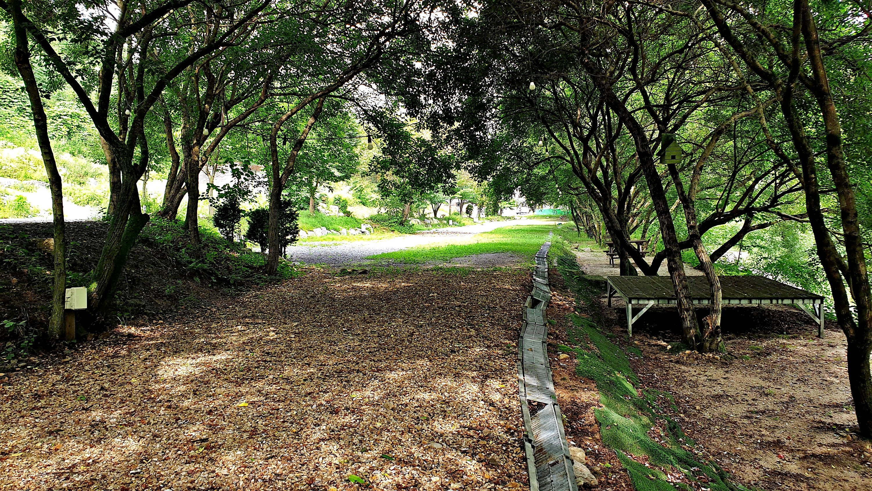 배론의아침 17번째 이미지