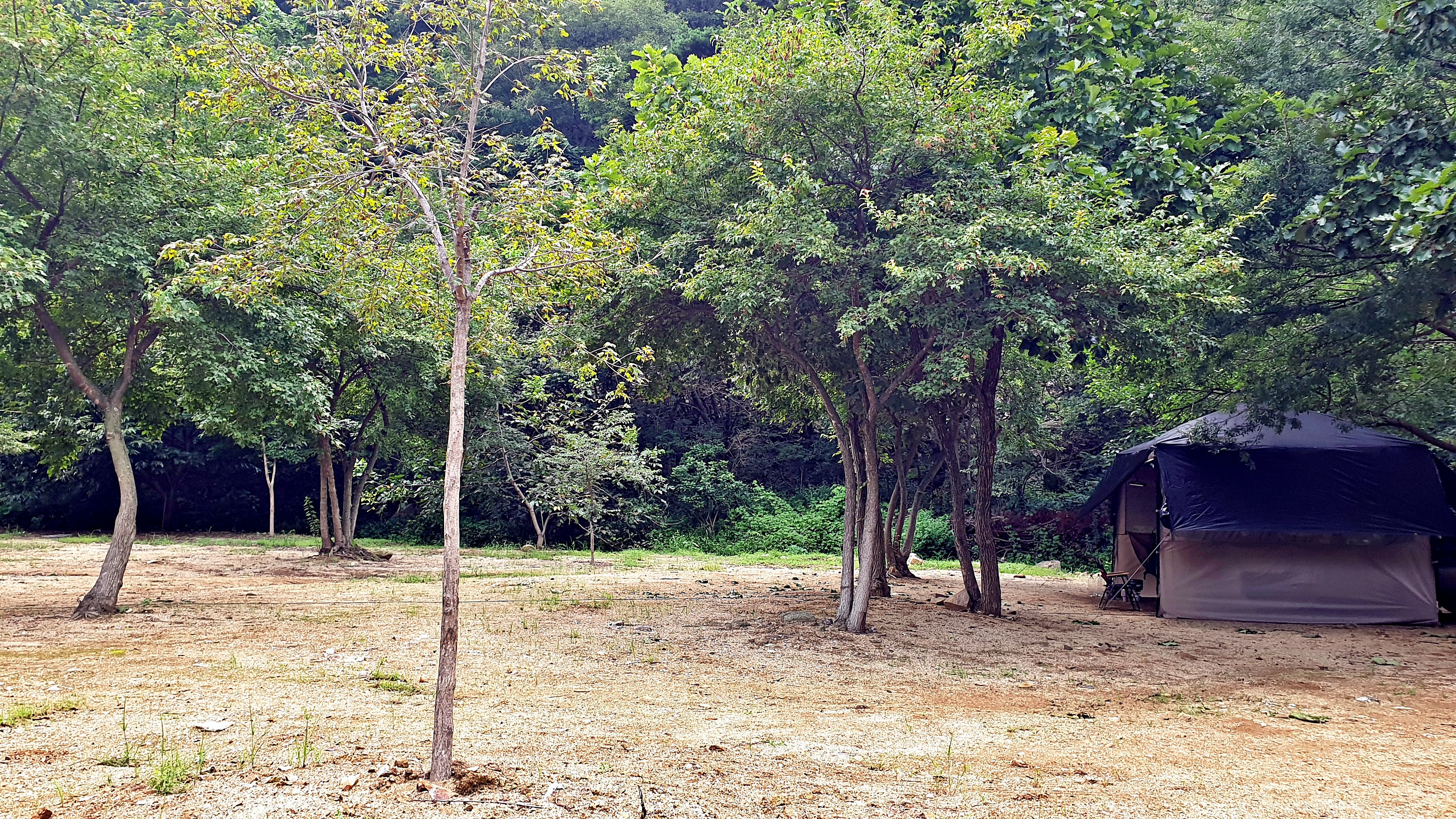 솔밭캠프 12번째 이미지