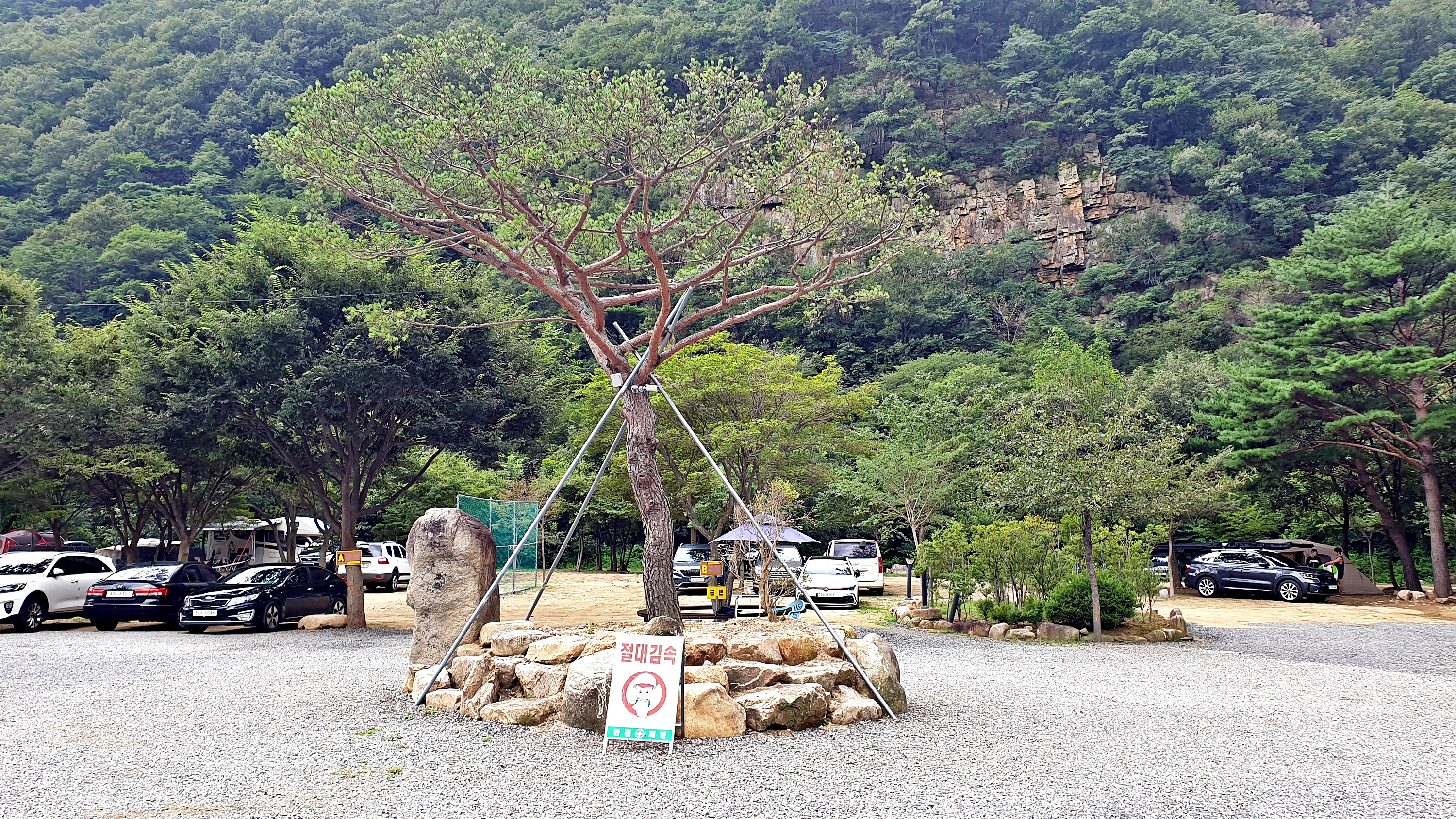 솔밭캠프 16번째 이미지