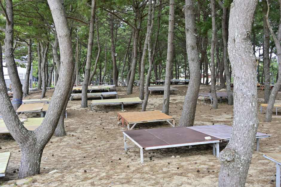 명사십리제2야영장 1번째 이미지