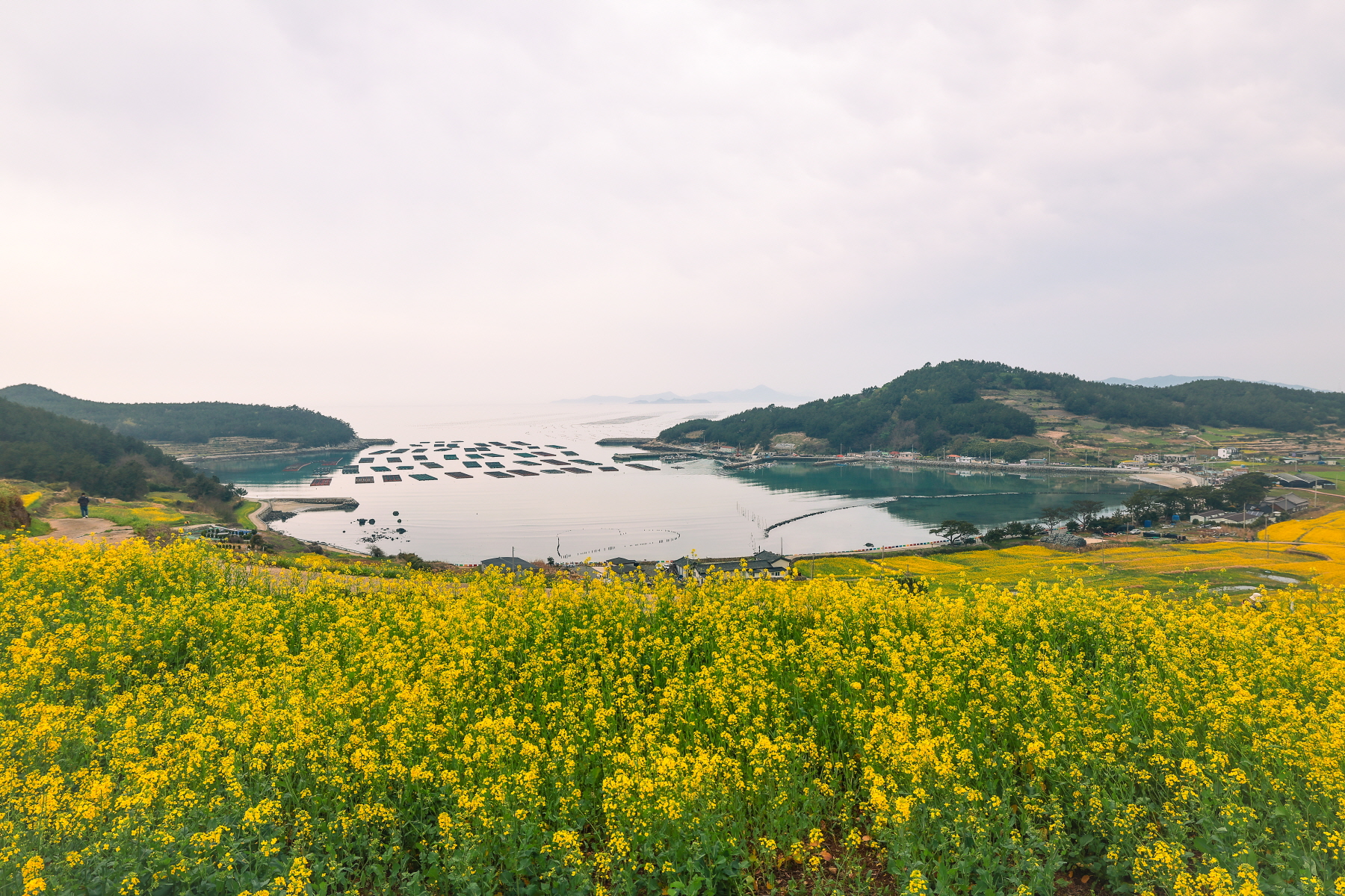 명사십리제2야영장 9번째 이미지