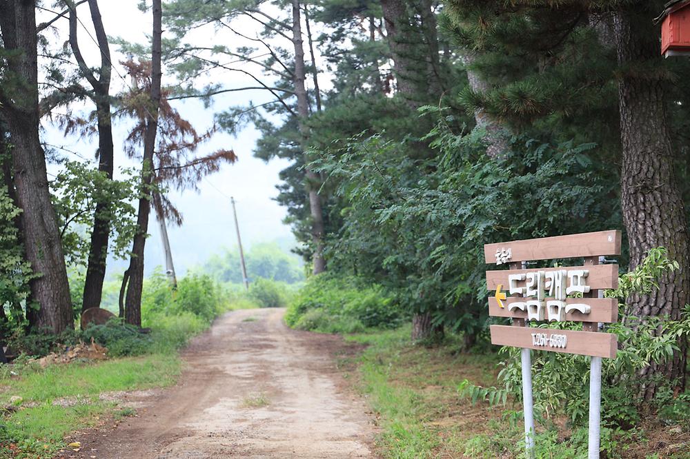 숲속의드림캠프야영장