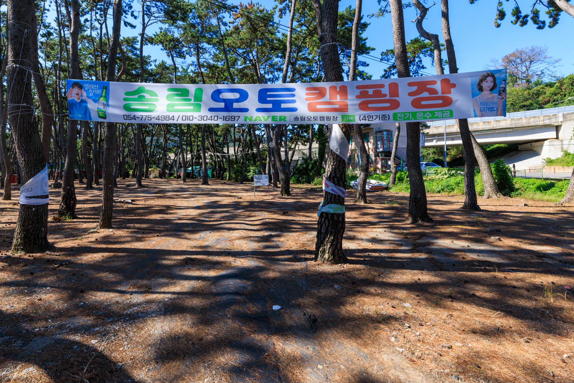 송림오토캠핑장 2번째 이미지