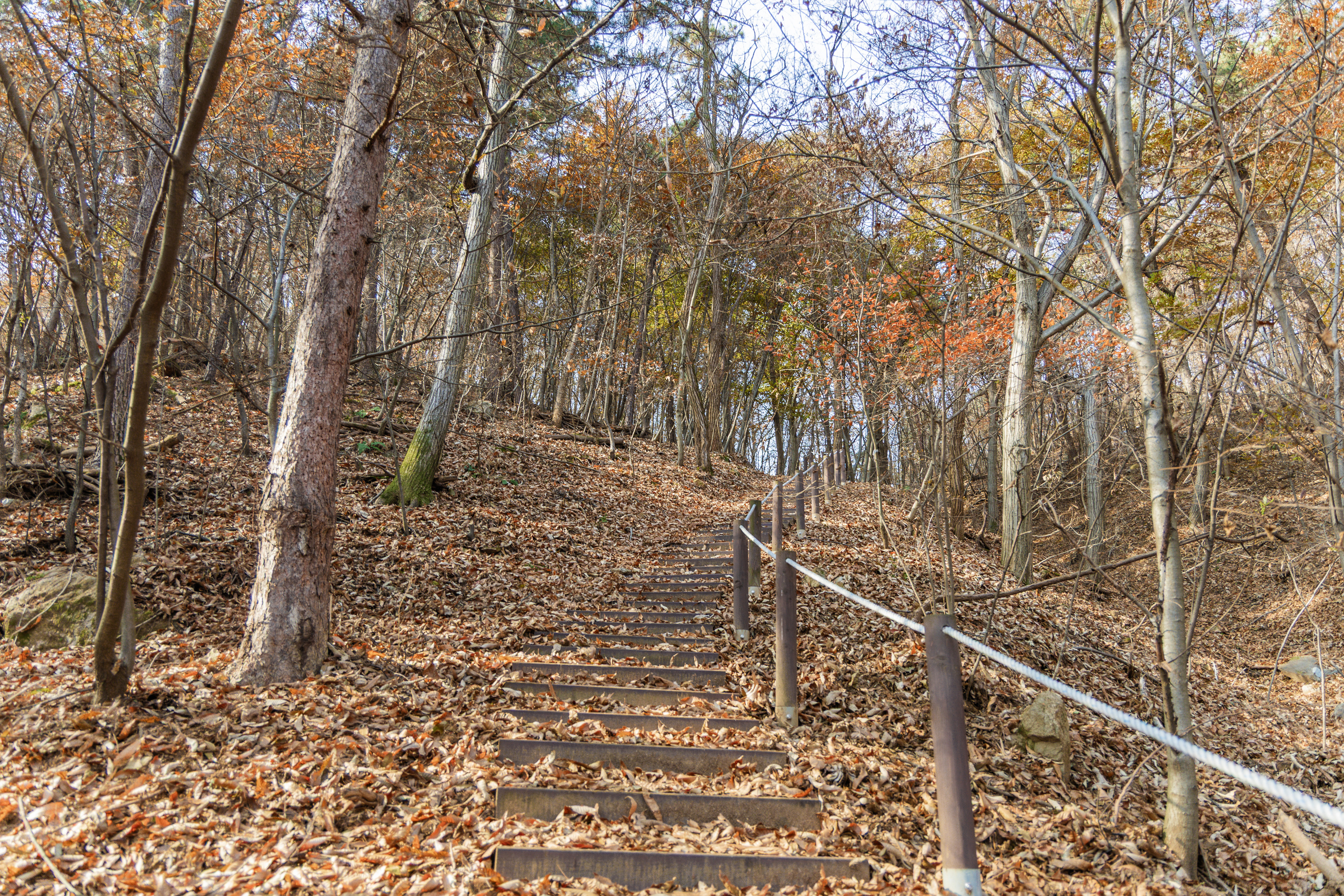 전월산 국민여가캠핑장 9번째 이미지