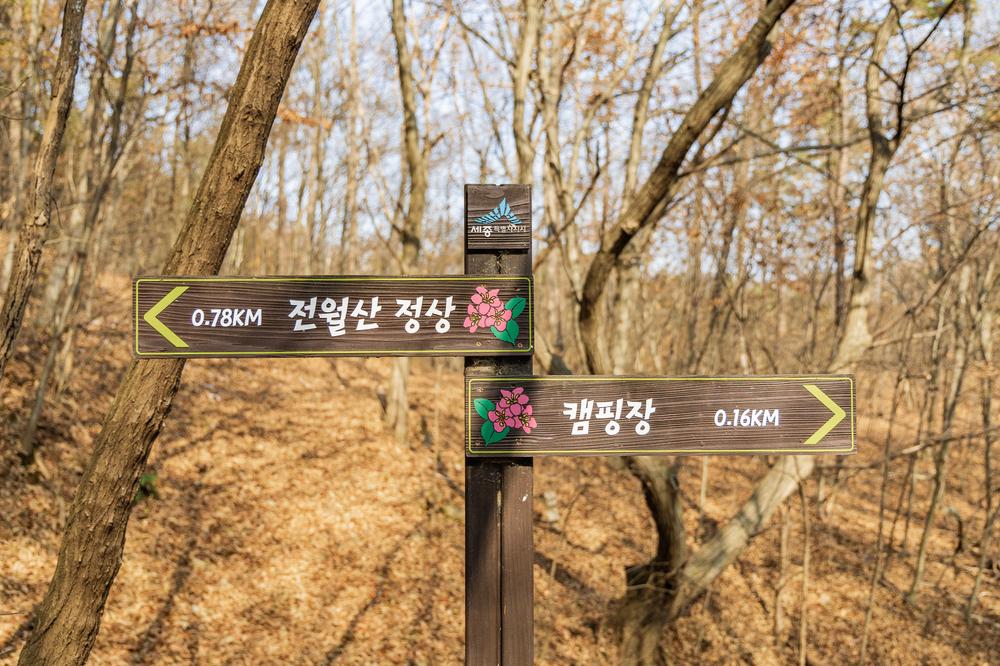 전월산 국민여가캠핑장