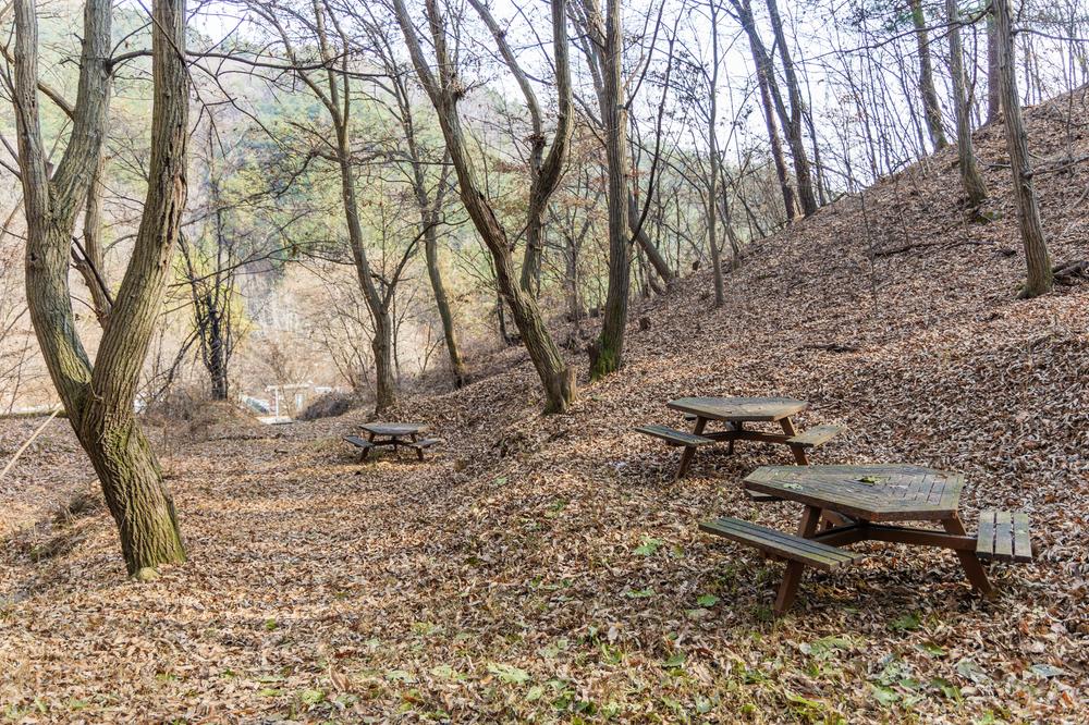 전월산 국민여가캠핑장