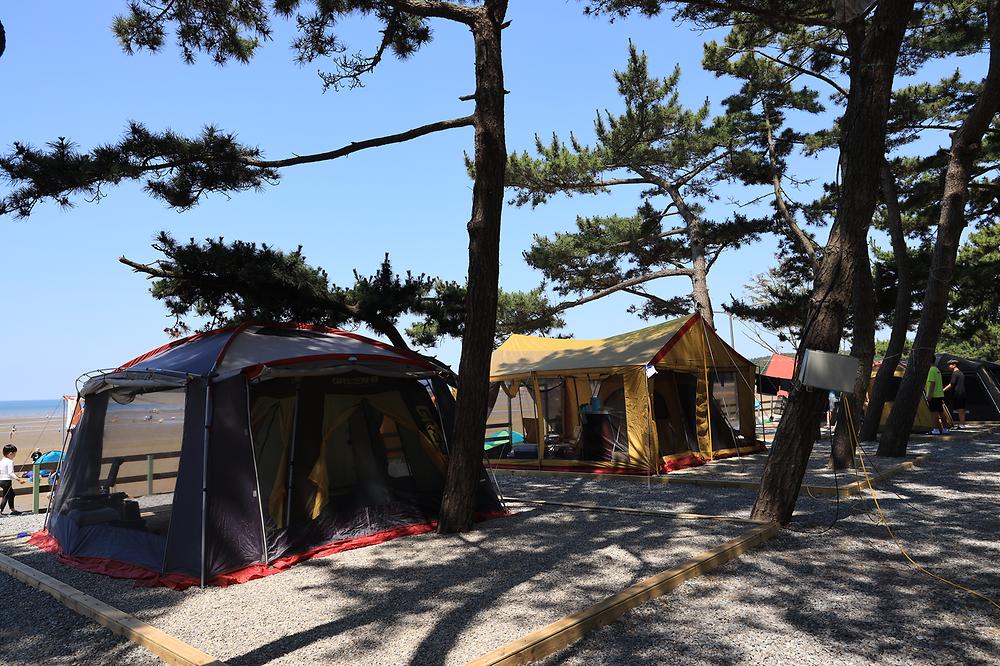 몽산포오토캠핑장
