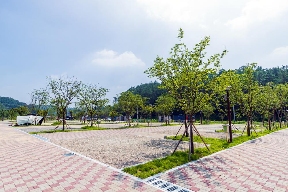 청주시 미래지농촌테마공원 오토캠핑장