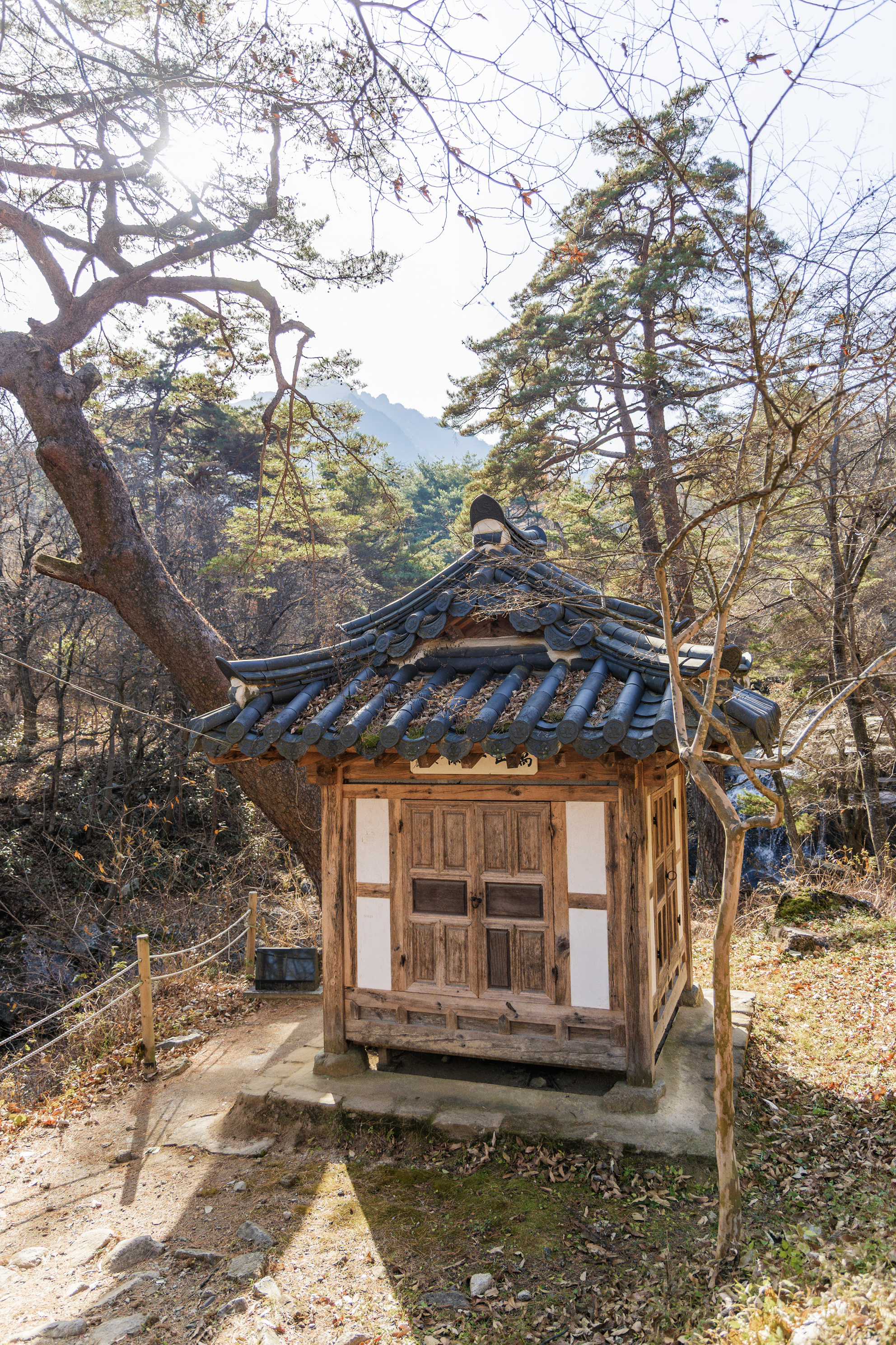 가야산오토캠핑장 47번째 이미지