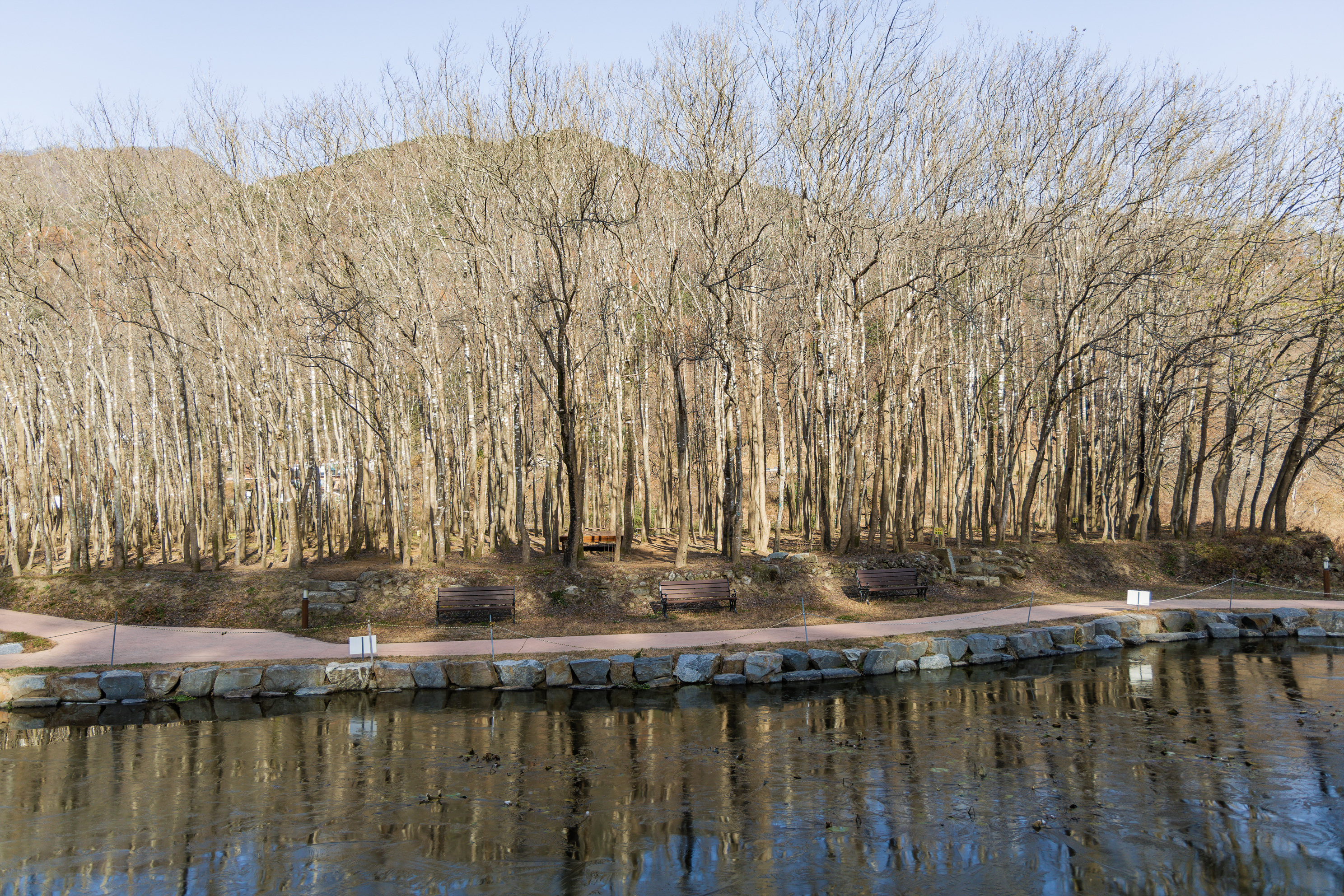 가야산오토캠핑장 41번째 이미지